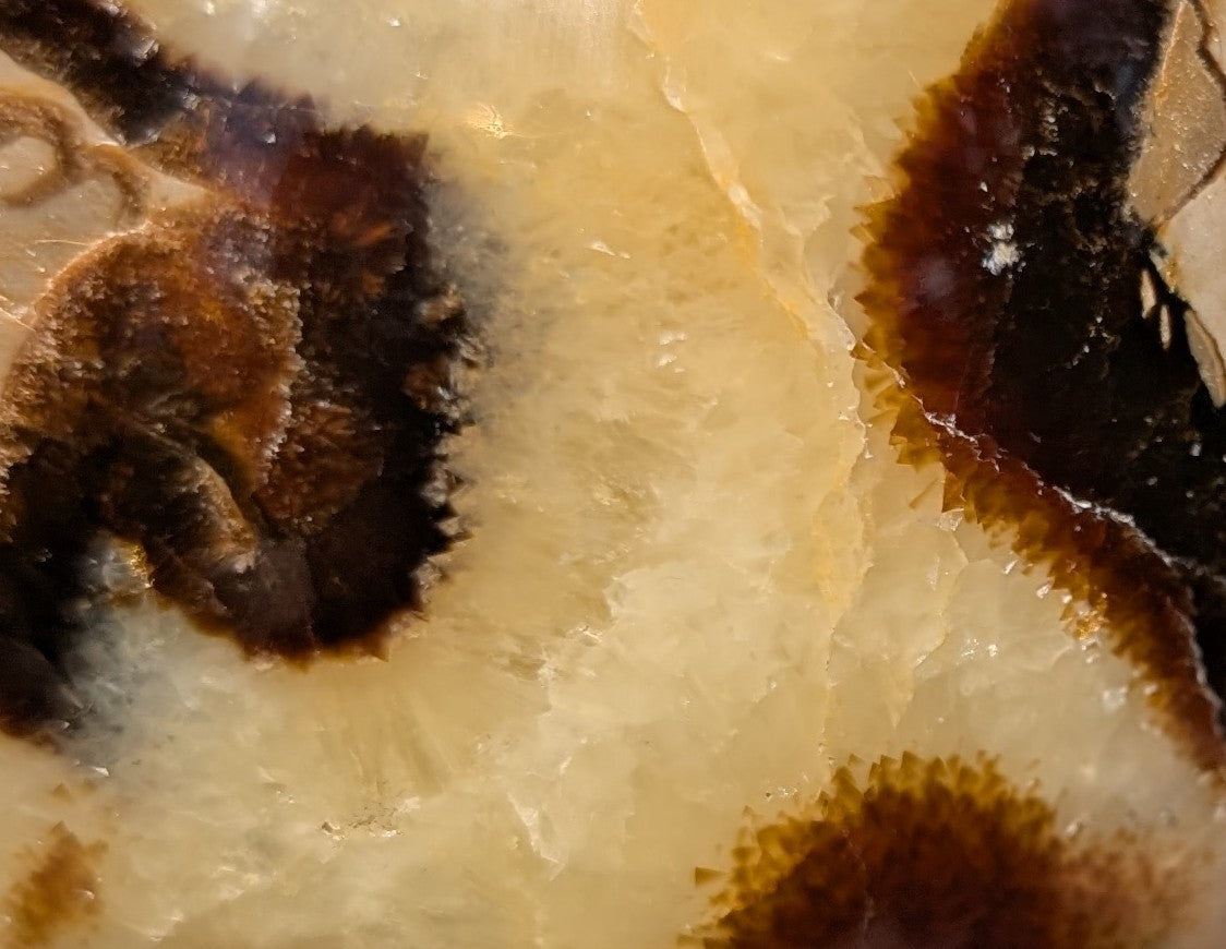 Septarian Dragon Stone