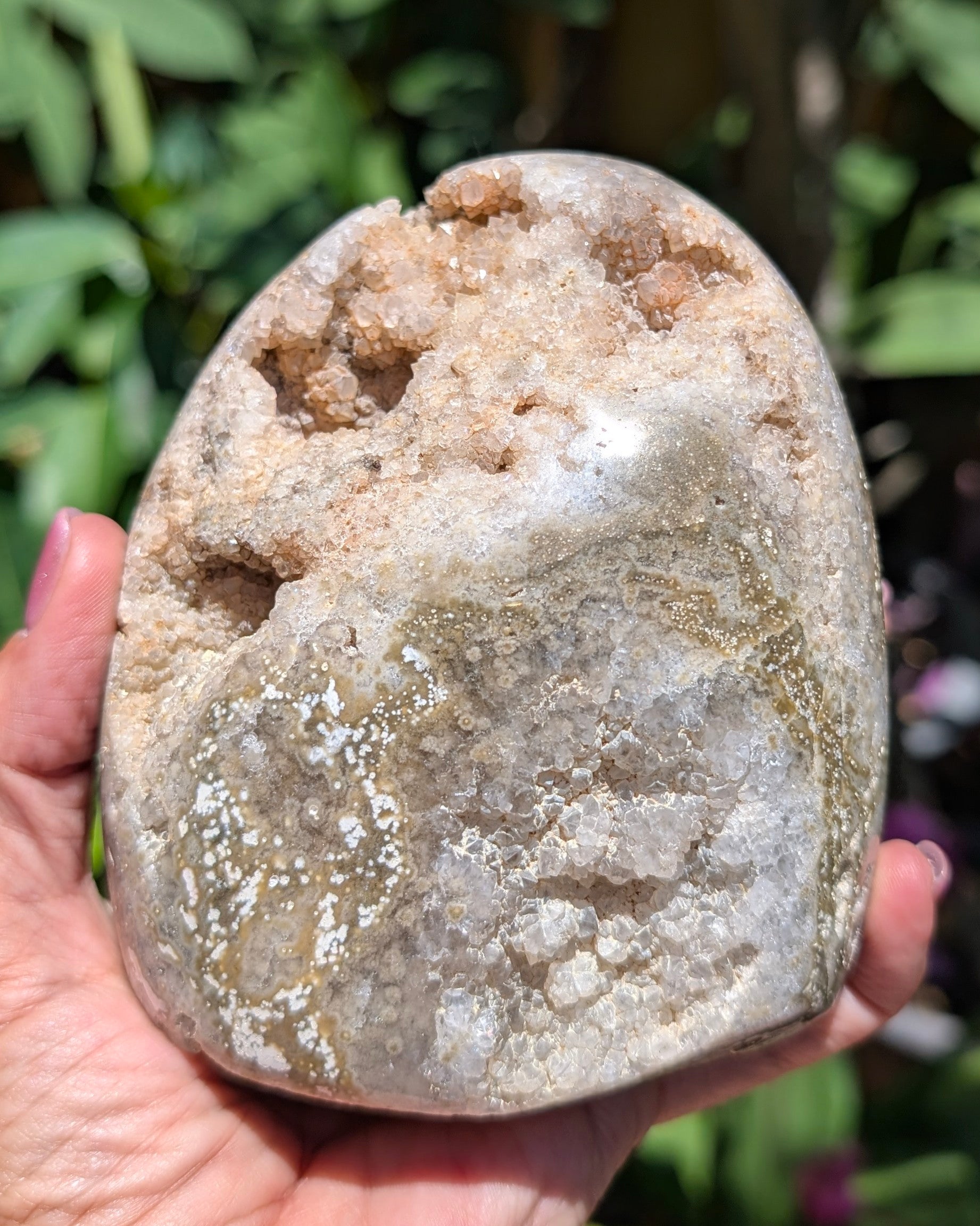 Freeform Polished