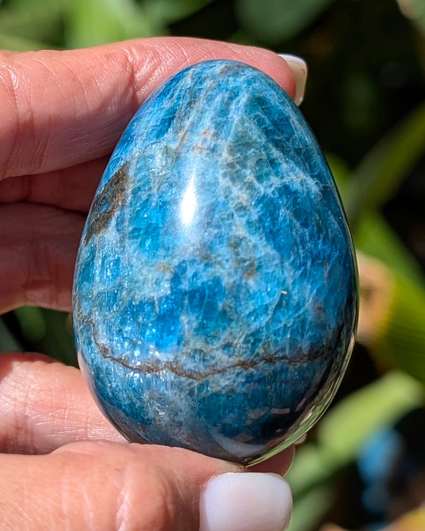 Apatite Egg - Opt. I