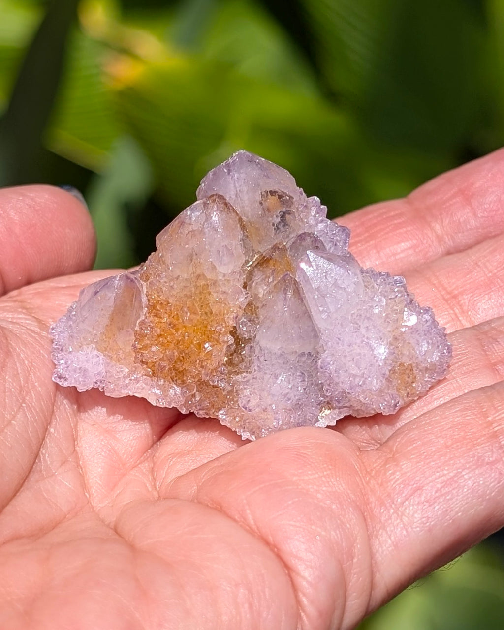 Petit Spirit Quartz - Opt. B