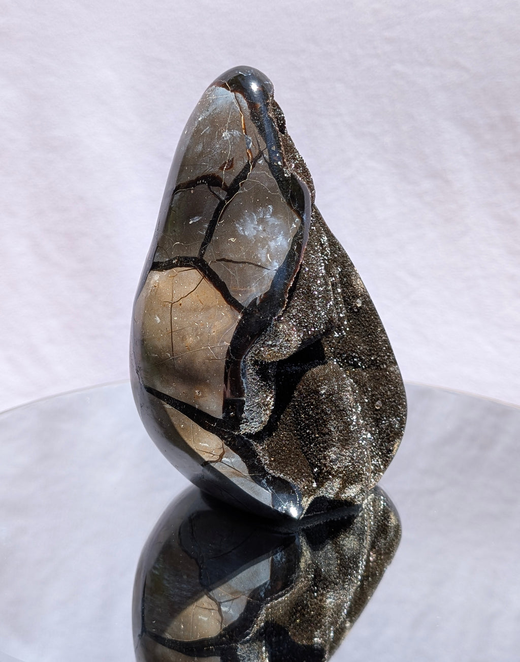Septarian Dragon Egg B