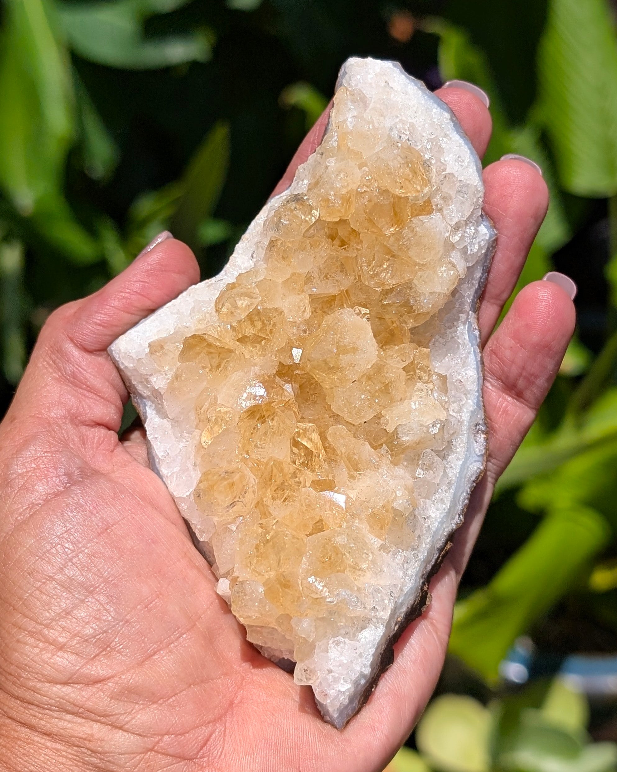 Citrine Cluster D