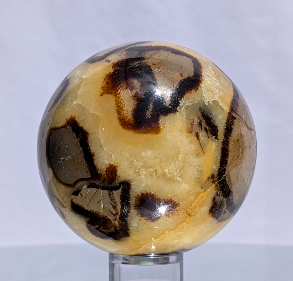 Septarian Dragon Stone Sphere A