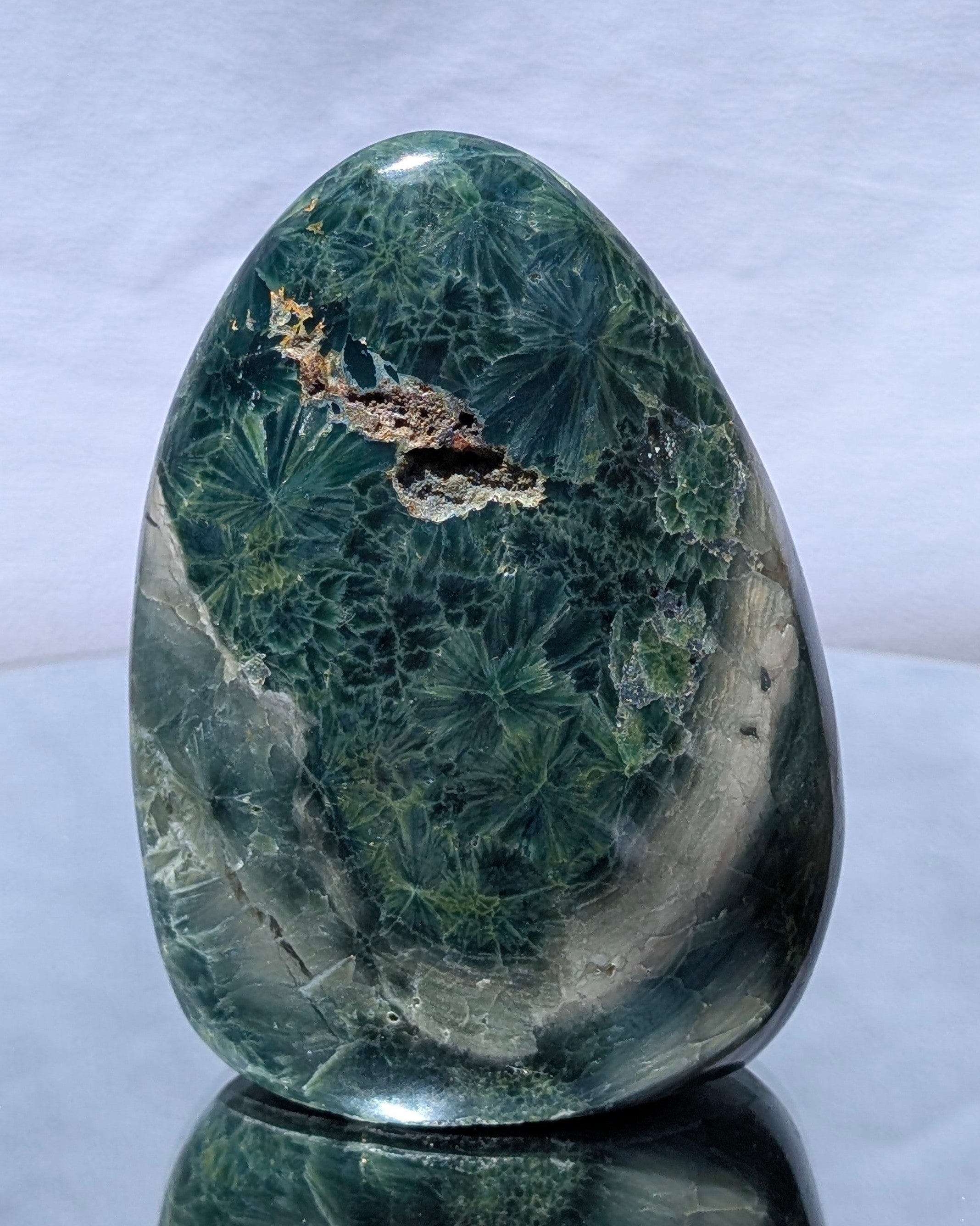 Ocean Jasper E