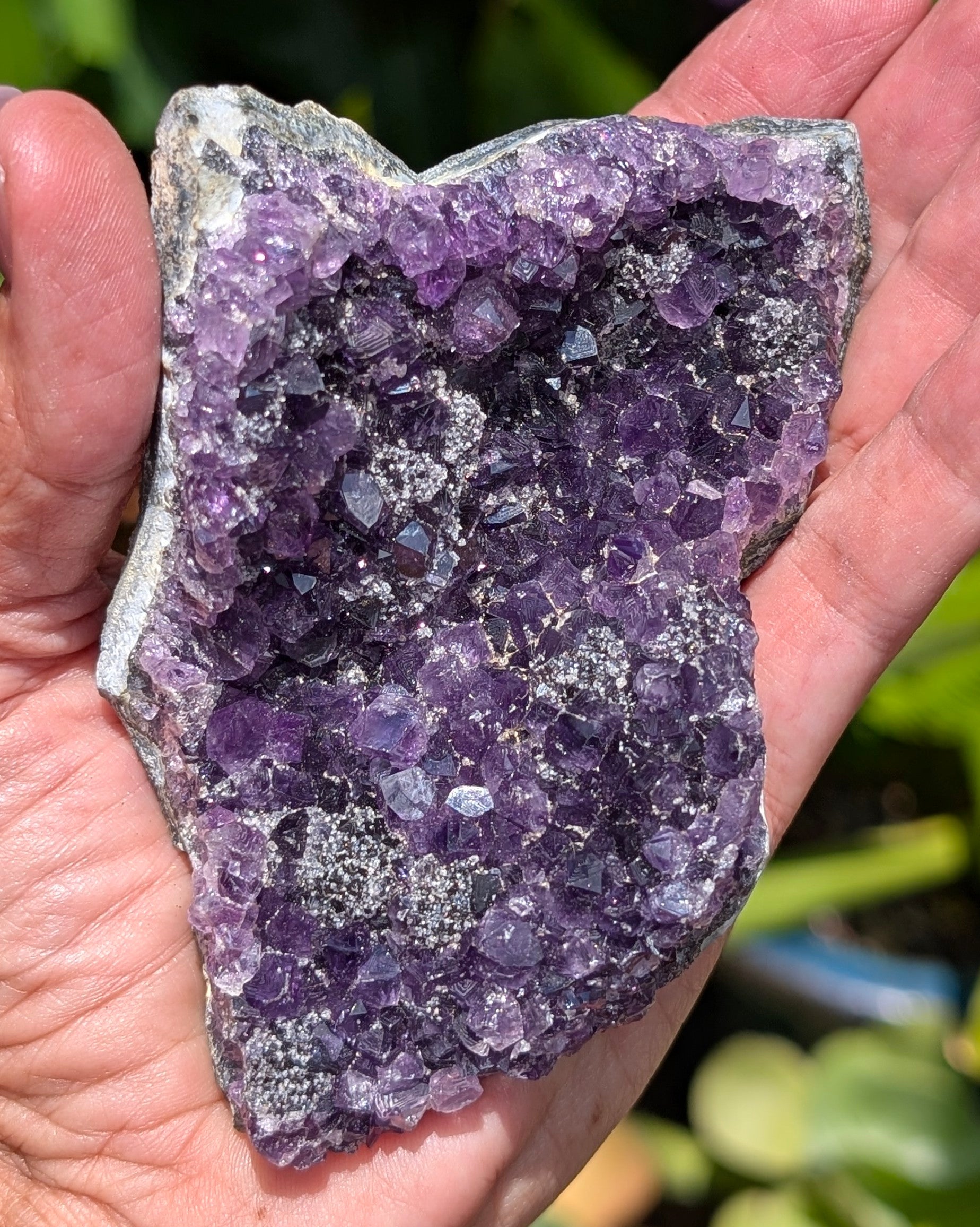 Amethyst Druzy Cluster G