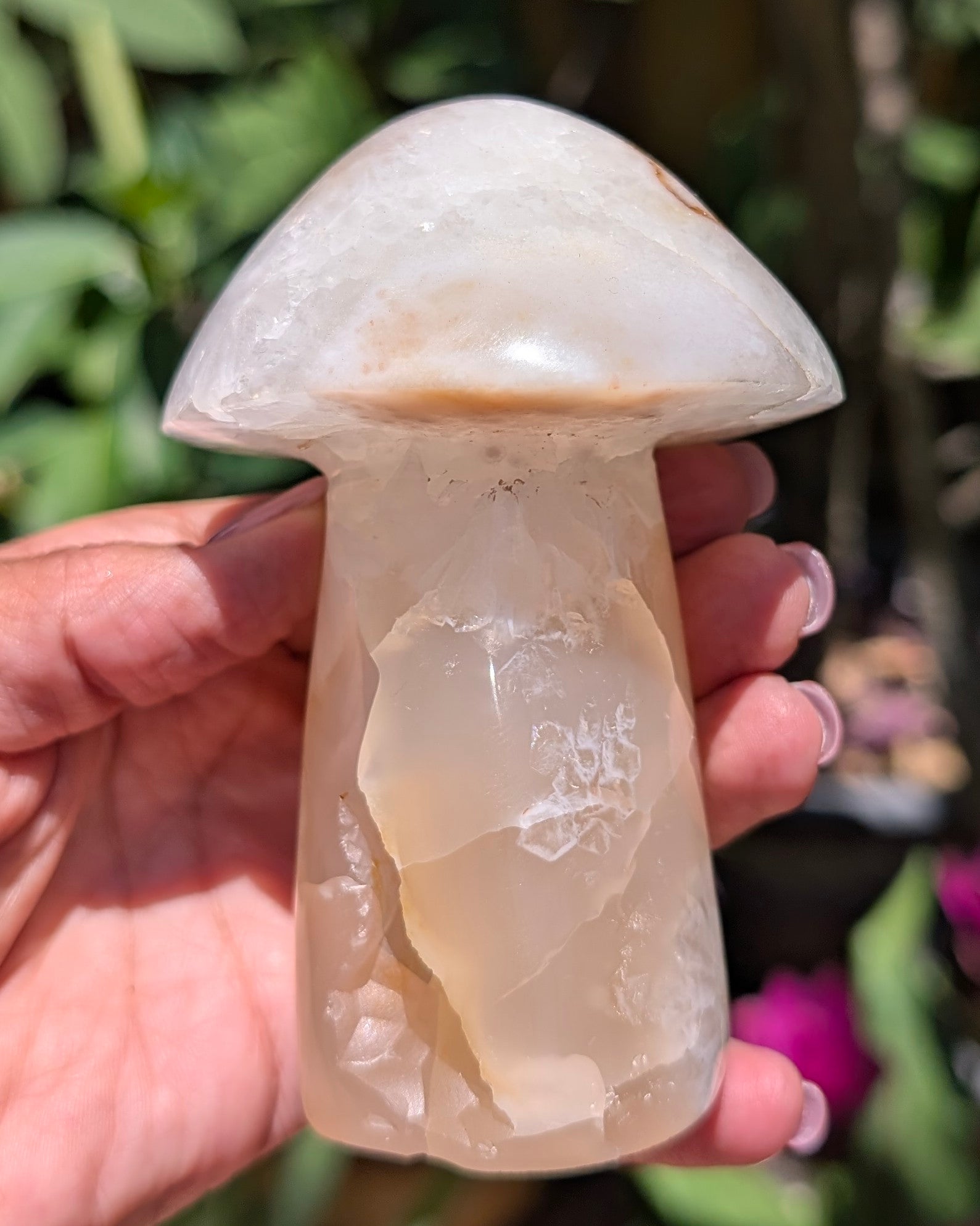 Flower Agate Mushroom E