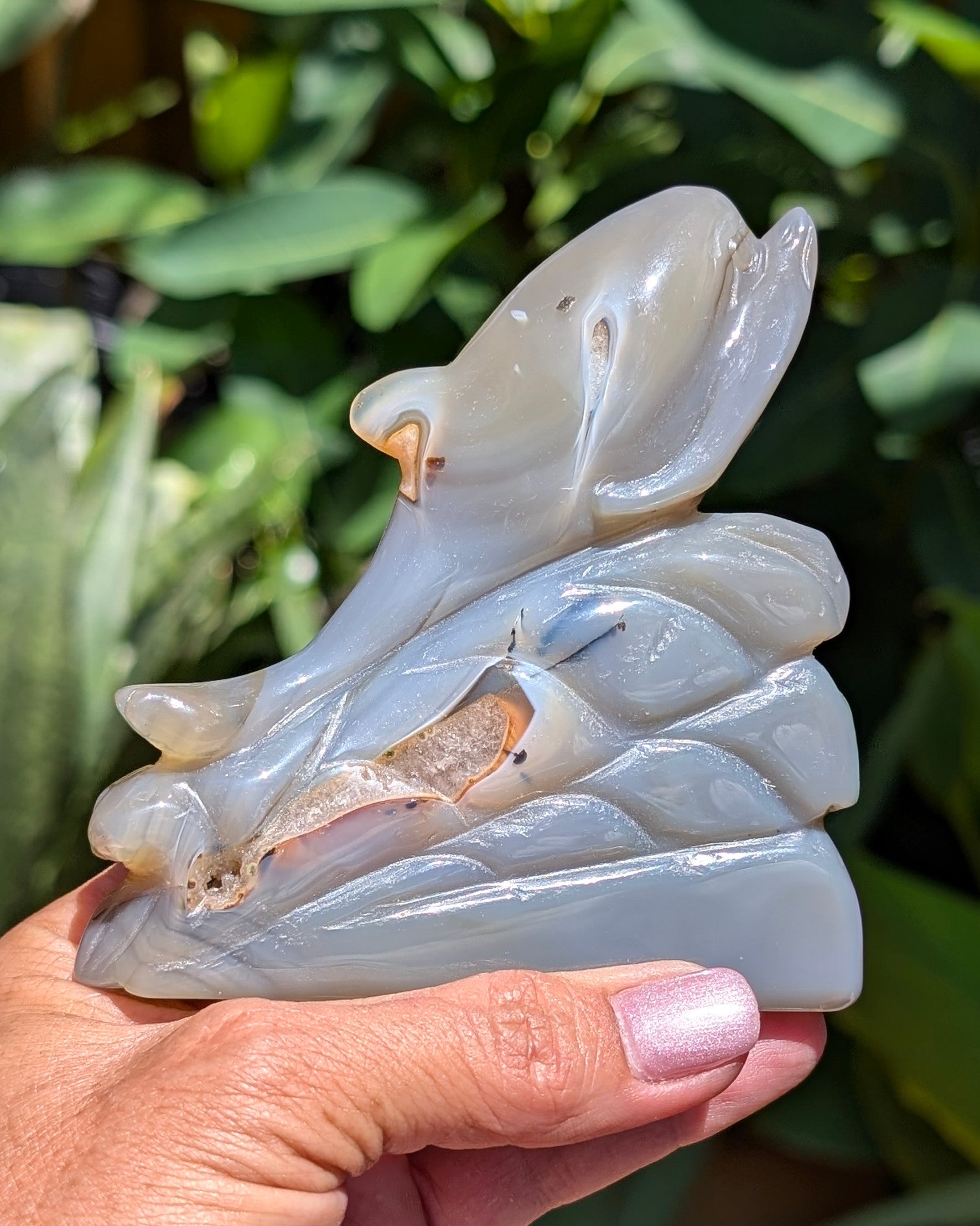 Agate Druzy Dolphin C