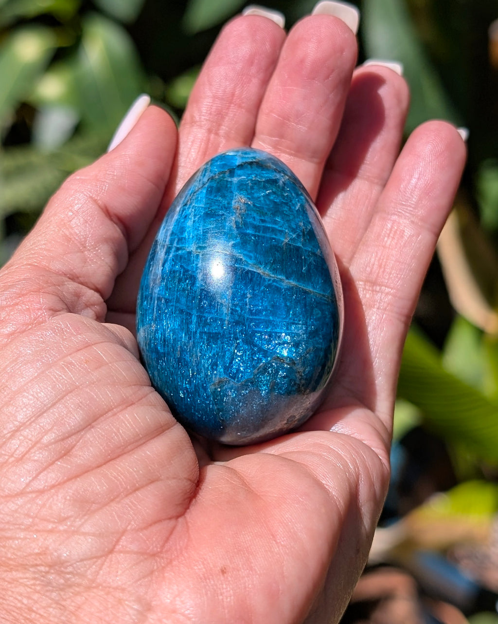 Apatite Egg - Opt. I