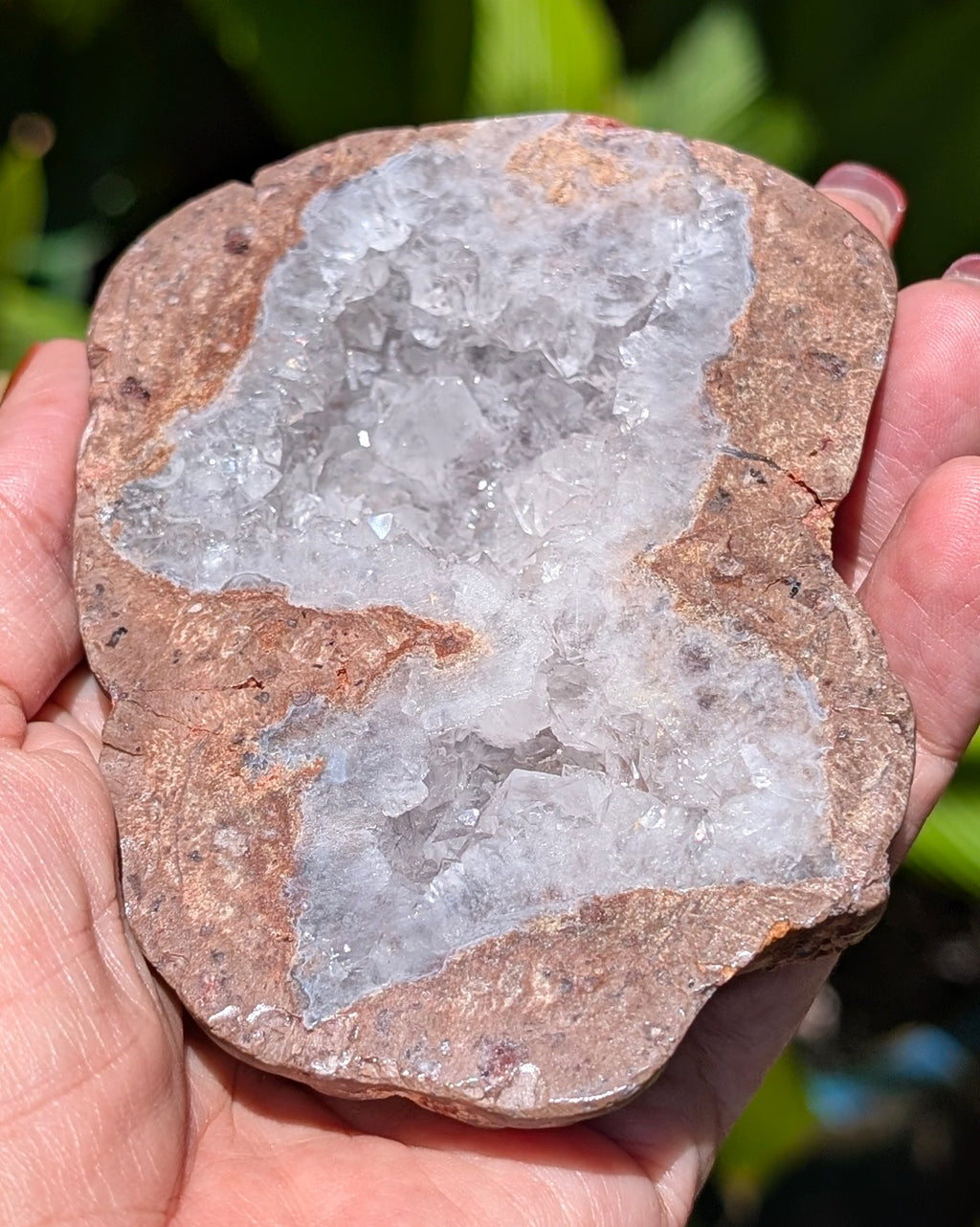 Fluorescent Thunderegg Geode Opt. A