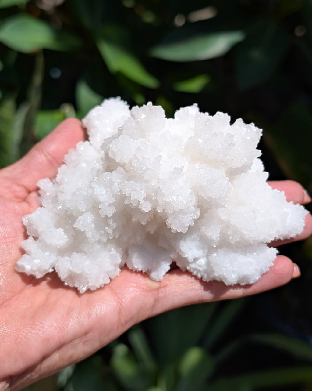 Fluorescent Aragonite Cluster - Opt. N