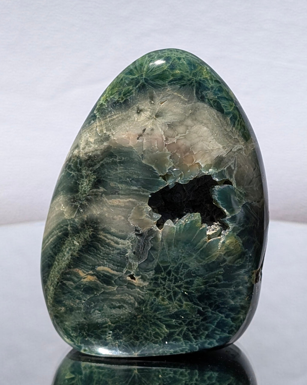 Ocean Jasper E