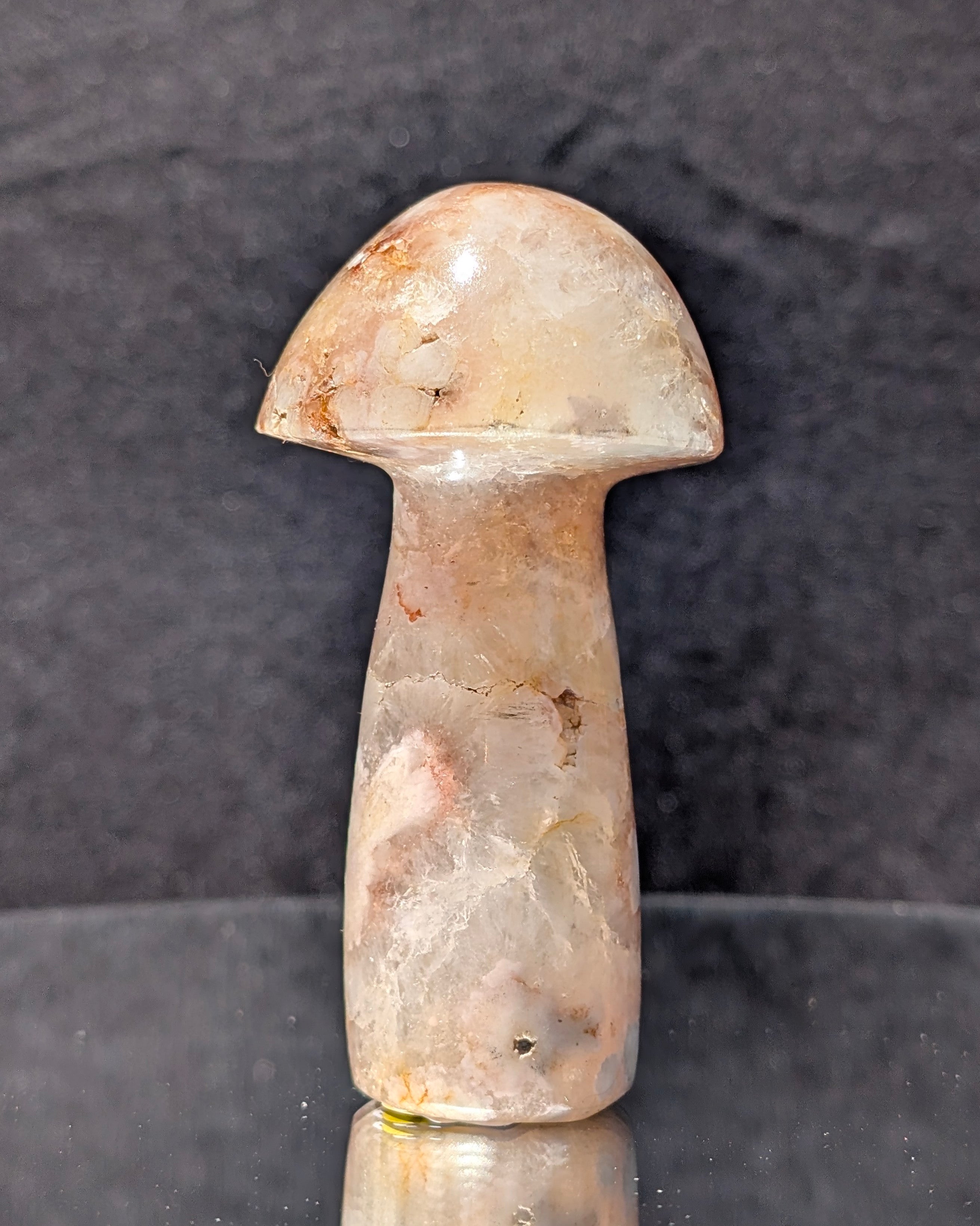 Flower Agate Mushroom G