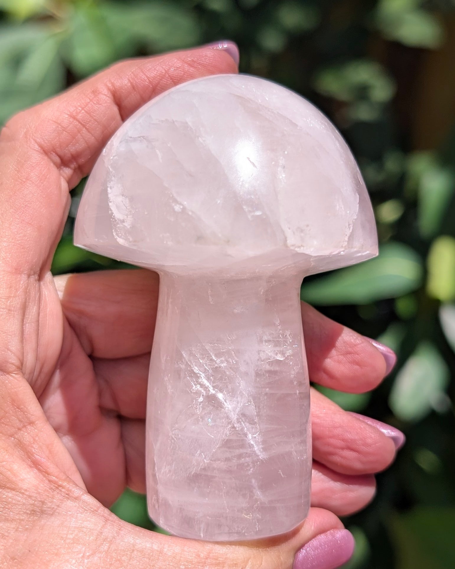 Rose Quartz Mushroom C