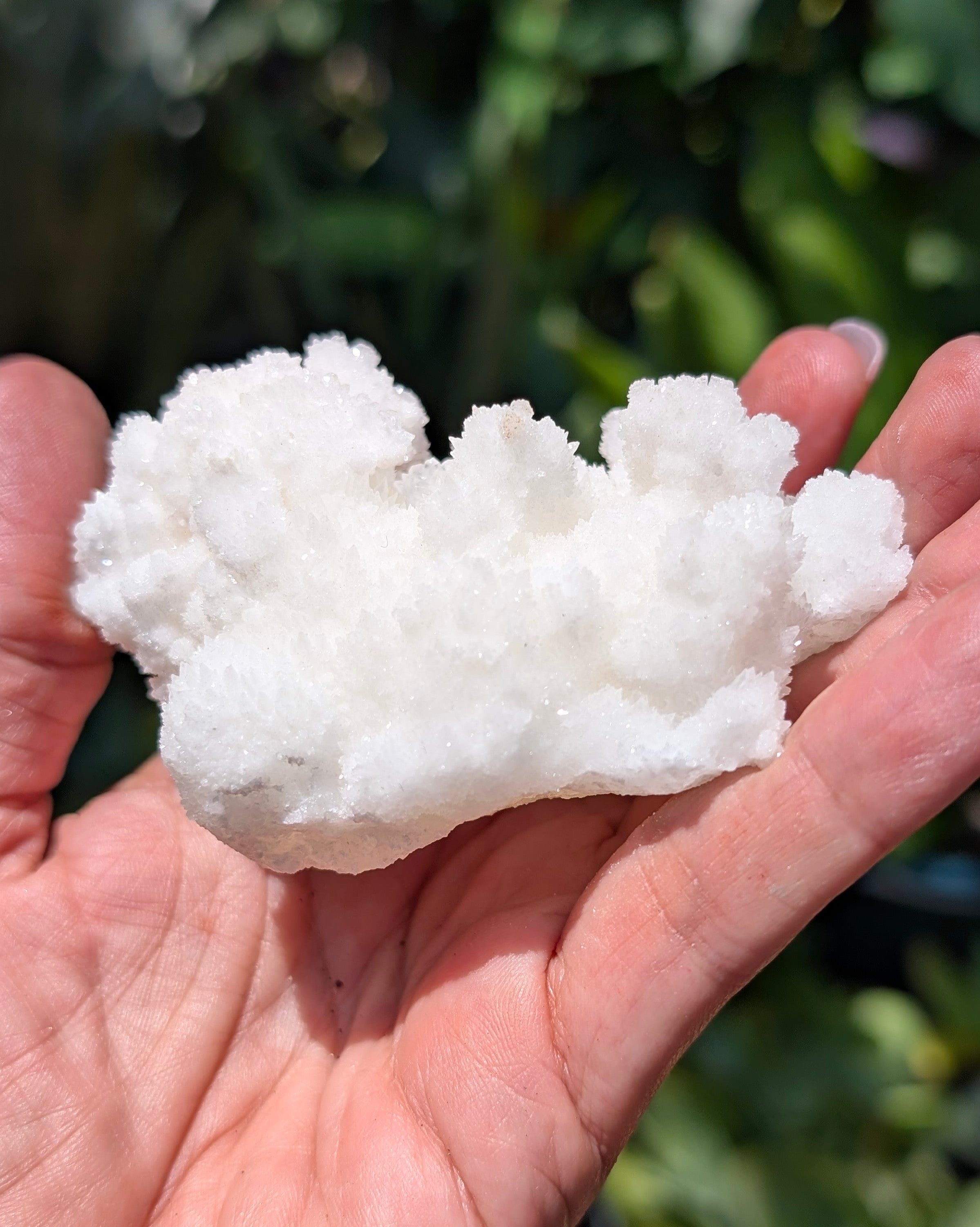 Fluorescent Aragonite Cluster I