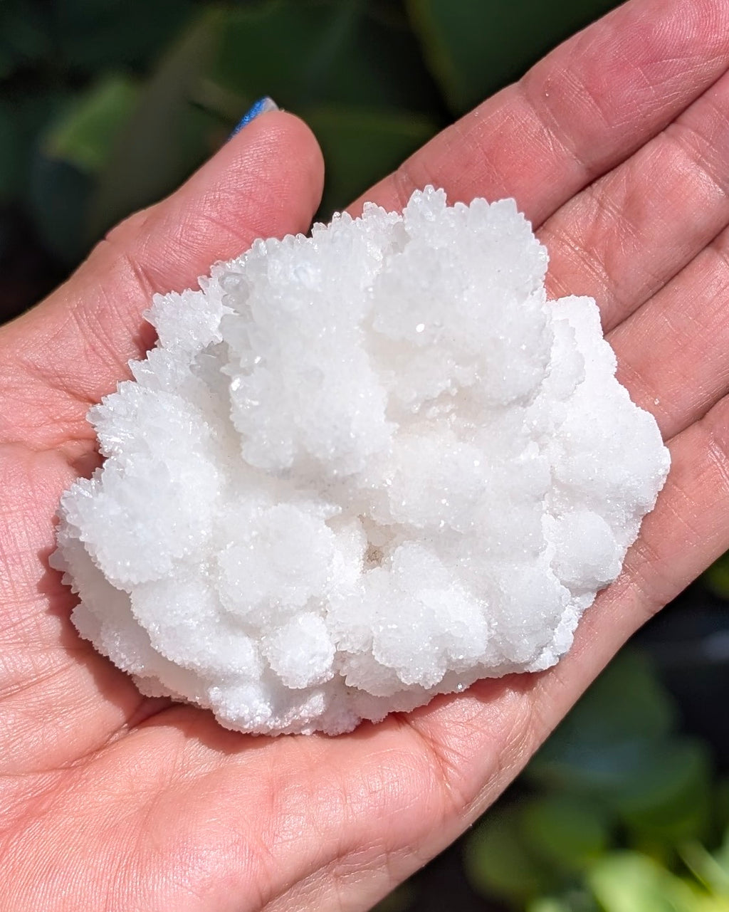 Fluorescent Aragonite - Opt. J