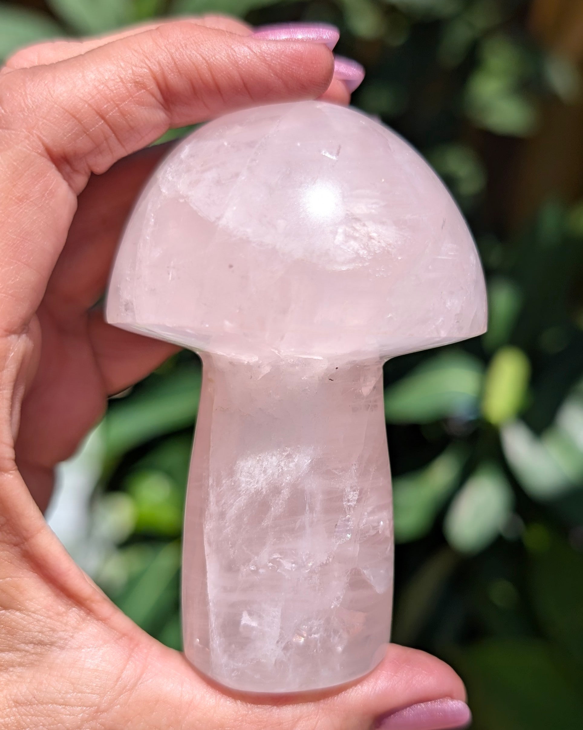 Rose Quartz Mushroom C