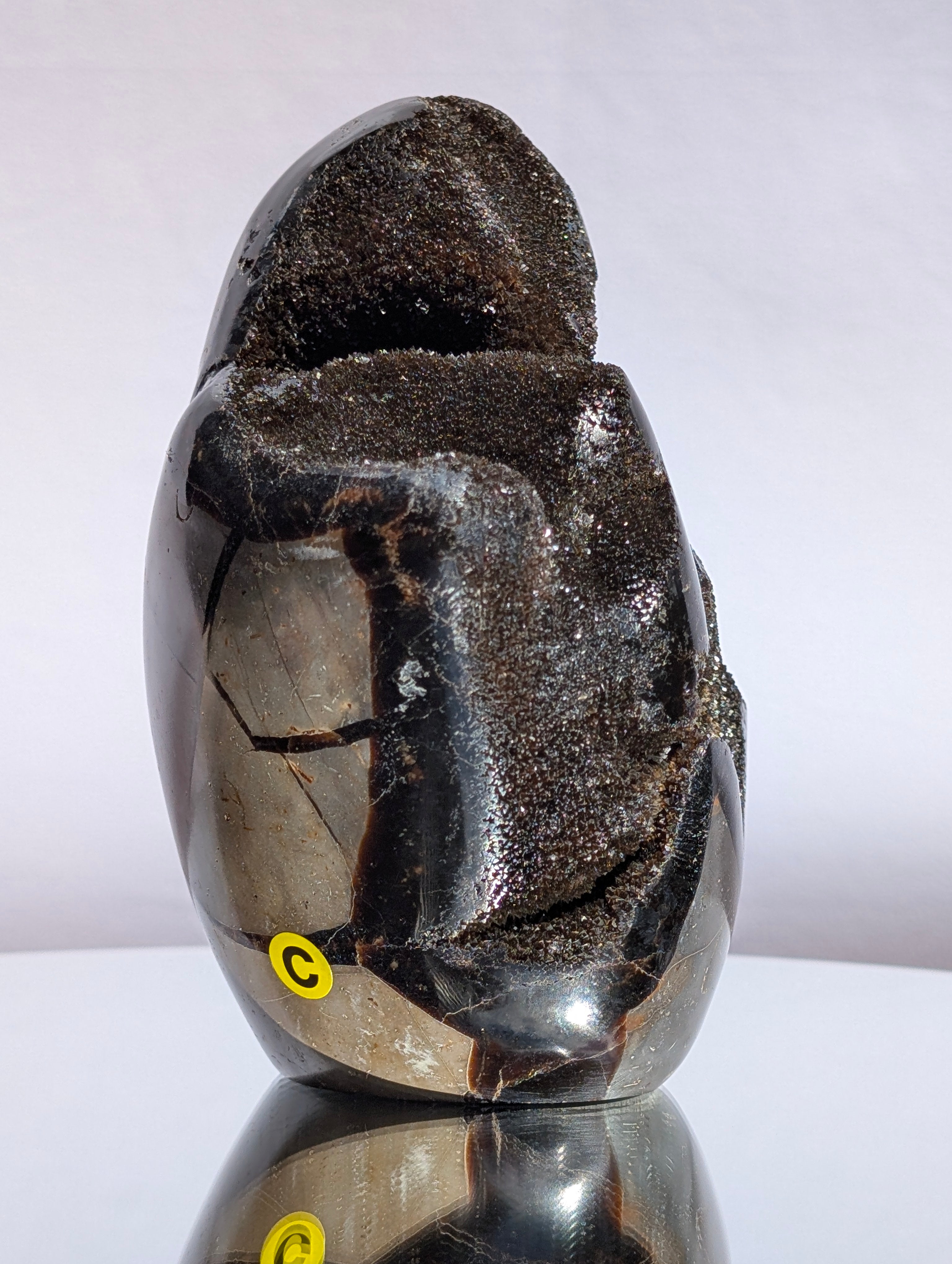 Septarian Dragon Egg C