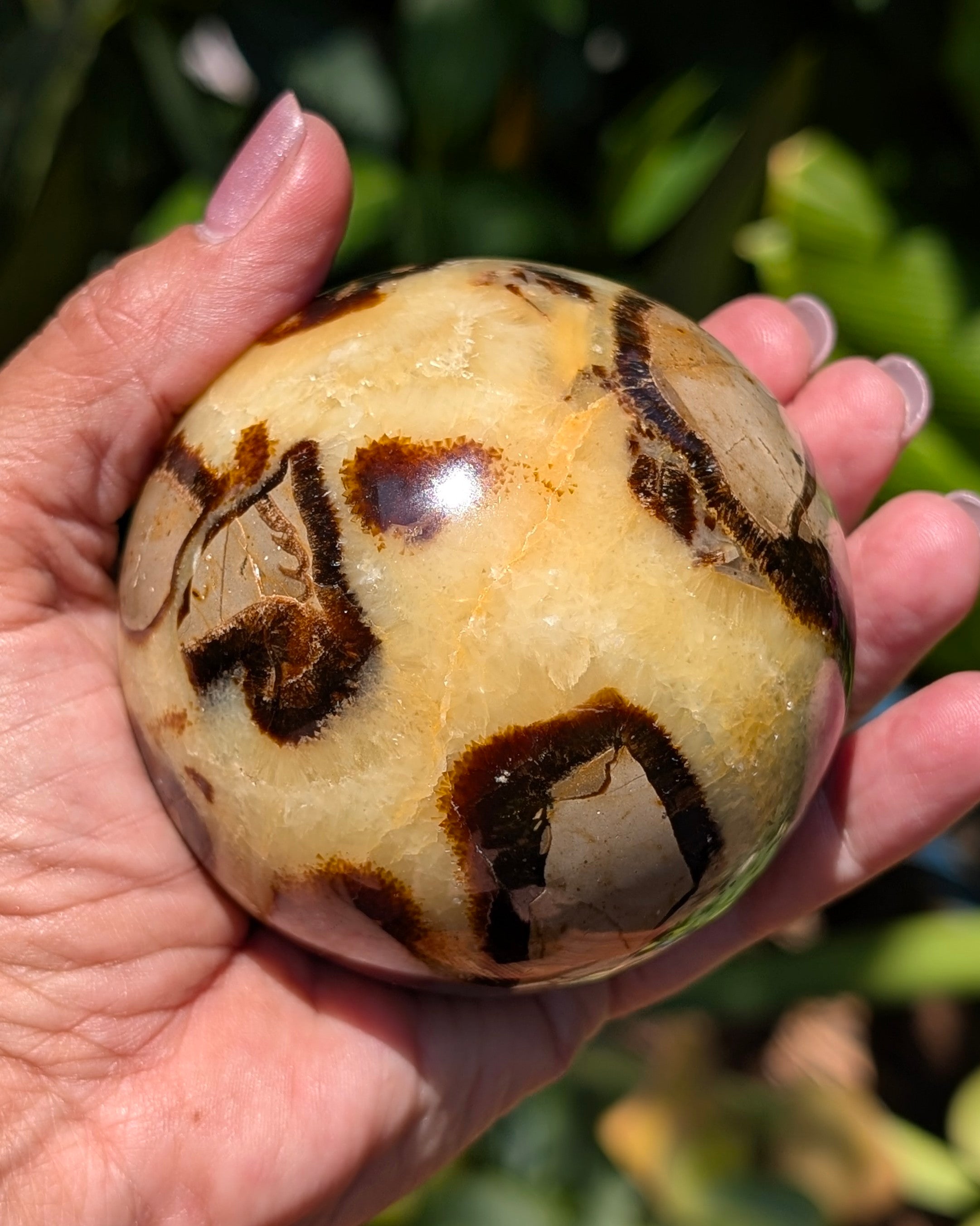Septarian Dragon Stone Sphere A