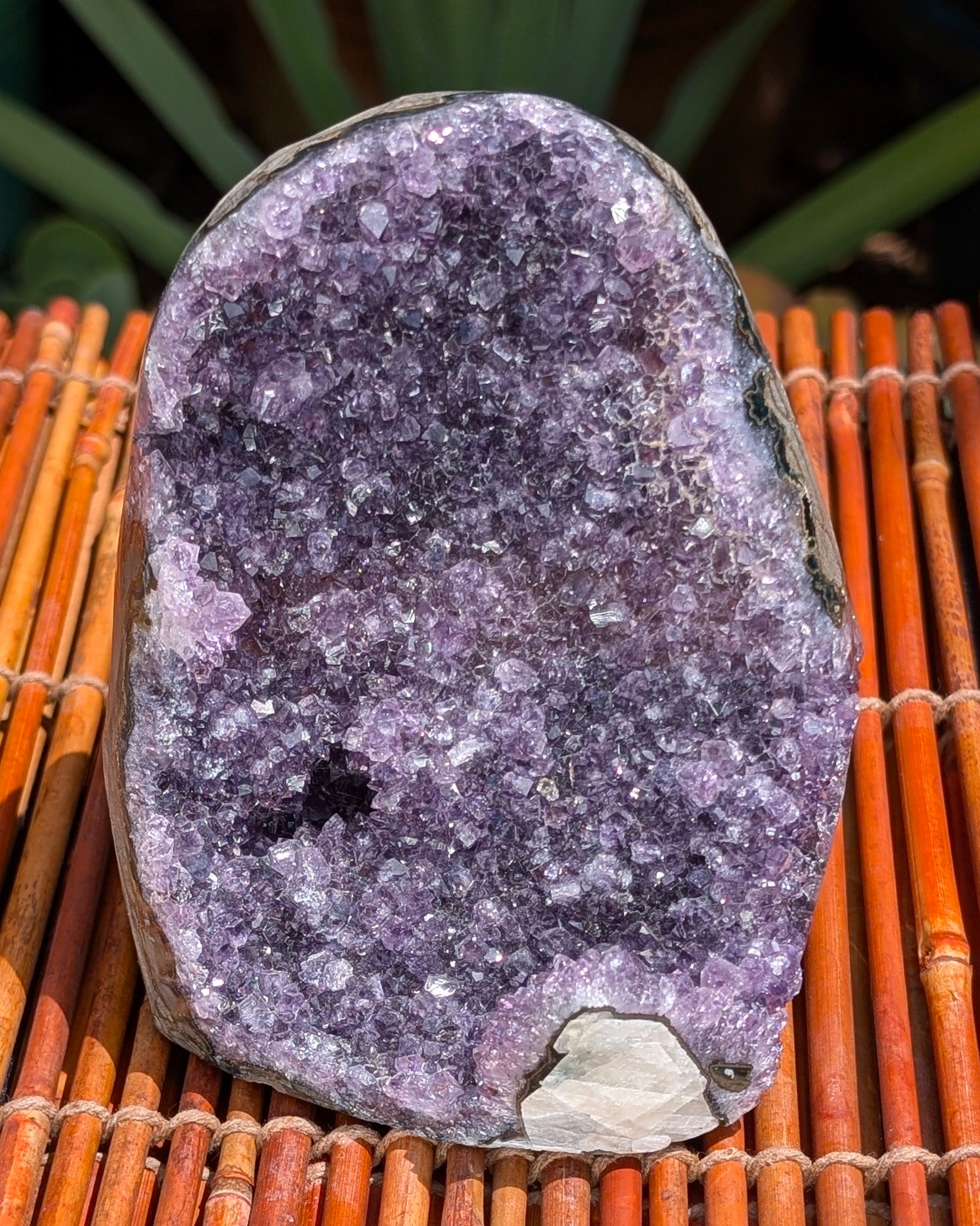 Amethyst Druzy Cluster C