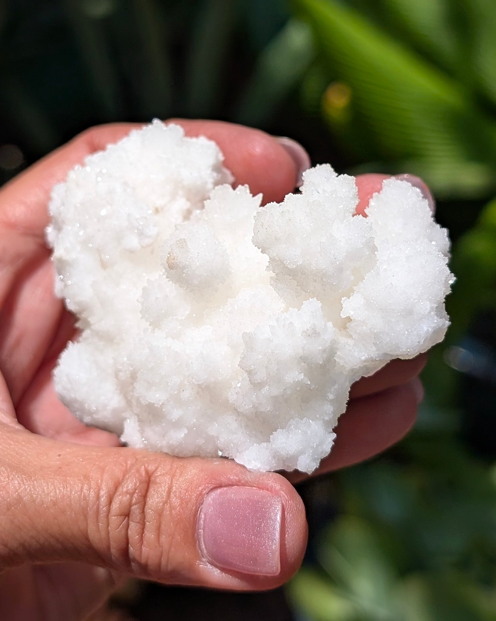 Fluorescent Aragonite Cluster I