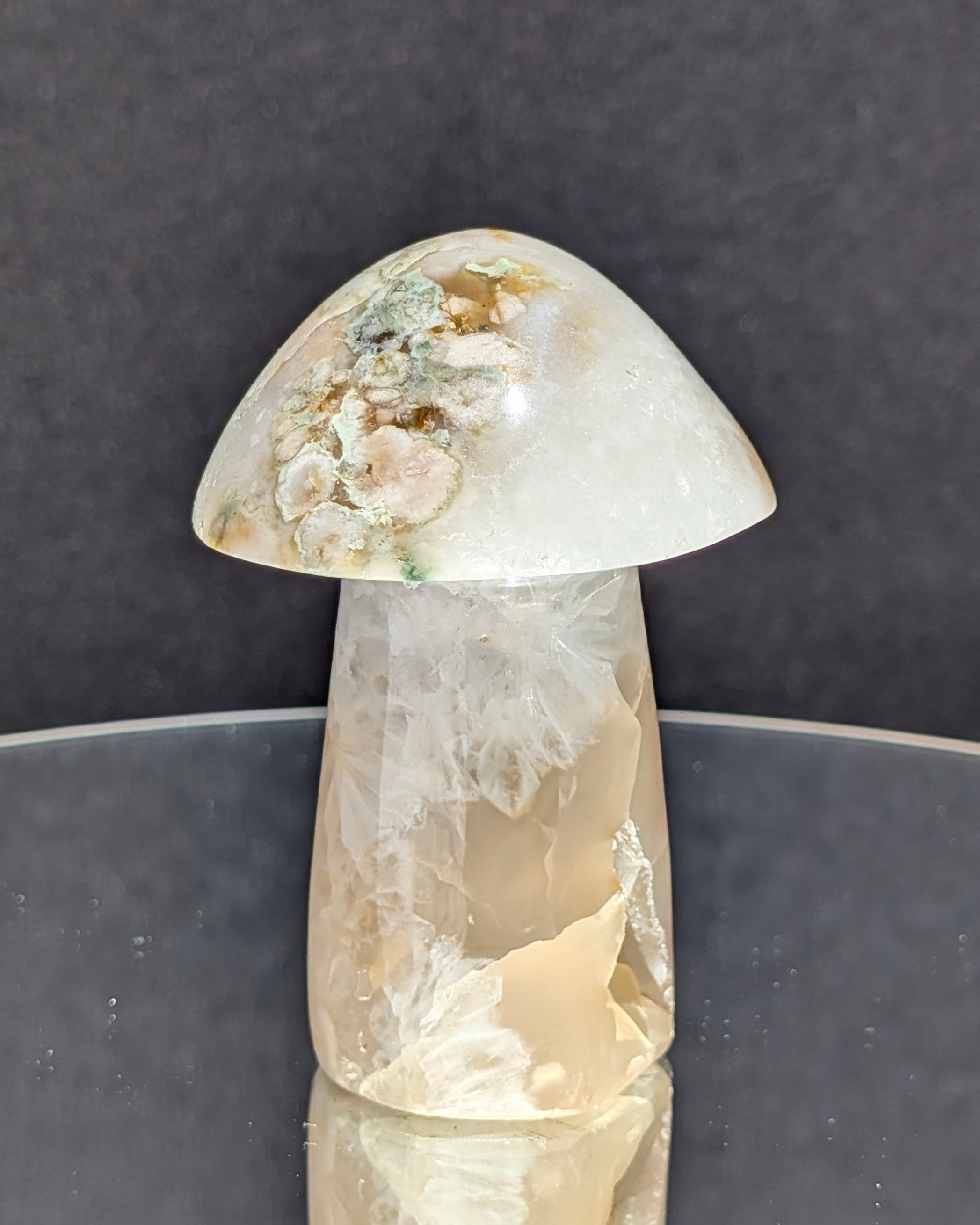 Flower Agate Mushroom E