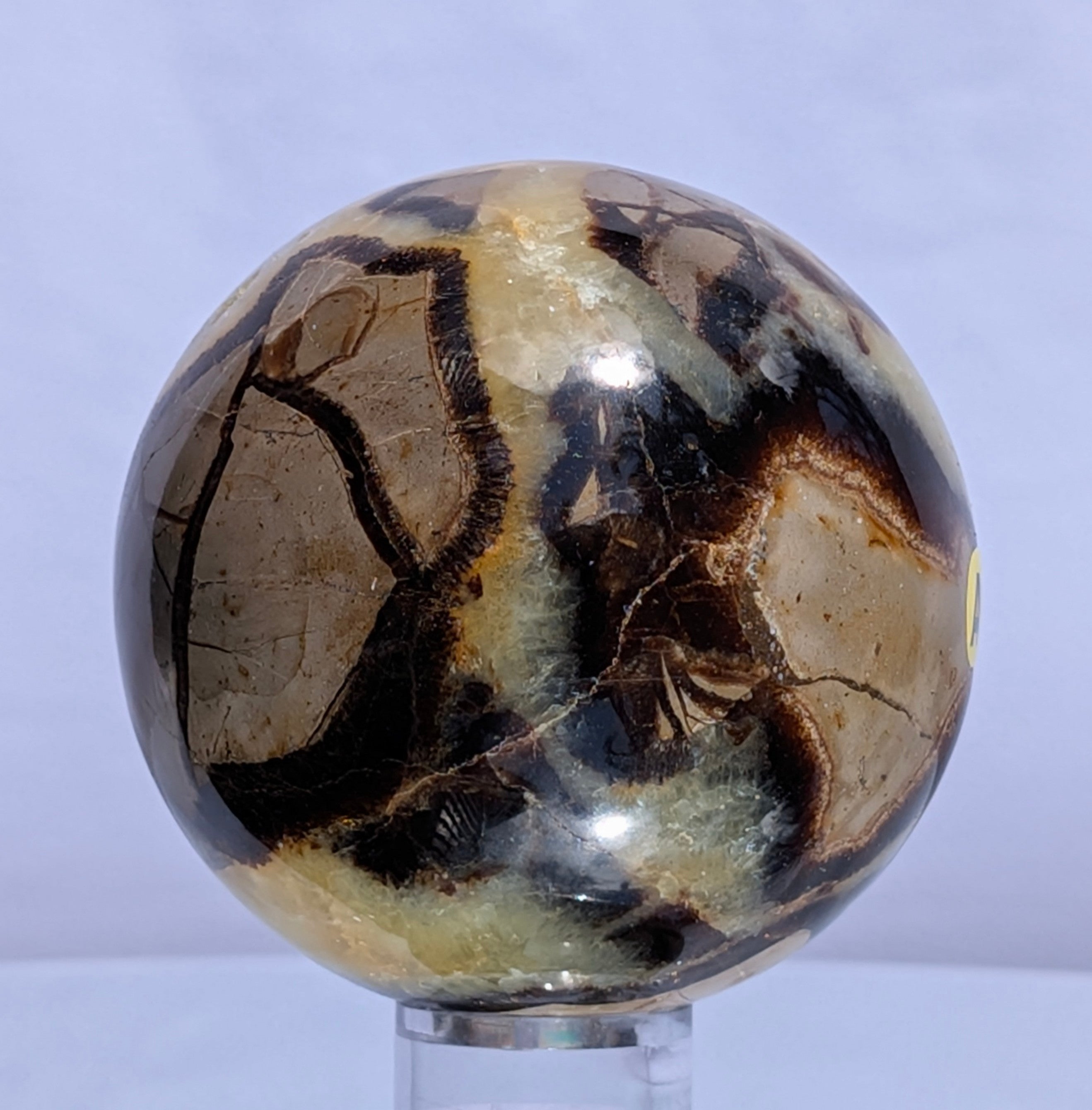 Septarian Dragon Stone Sphere A