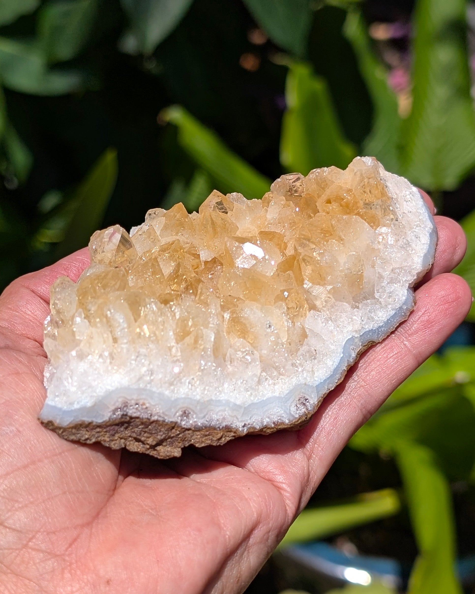 Citrine Cluster D