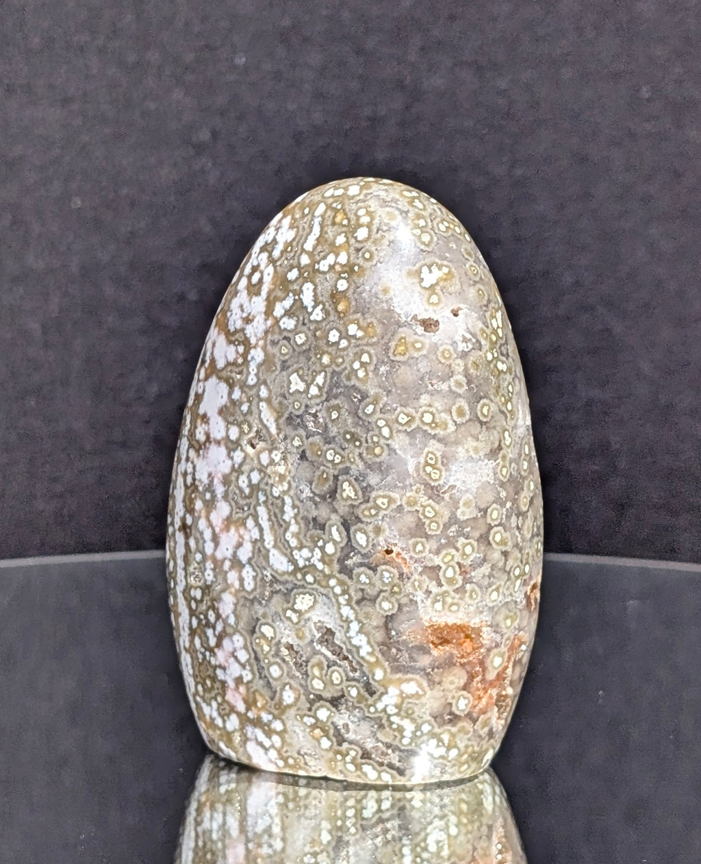 Ocean Jasper B