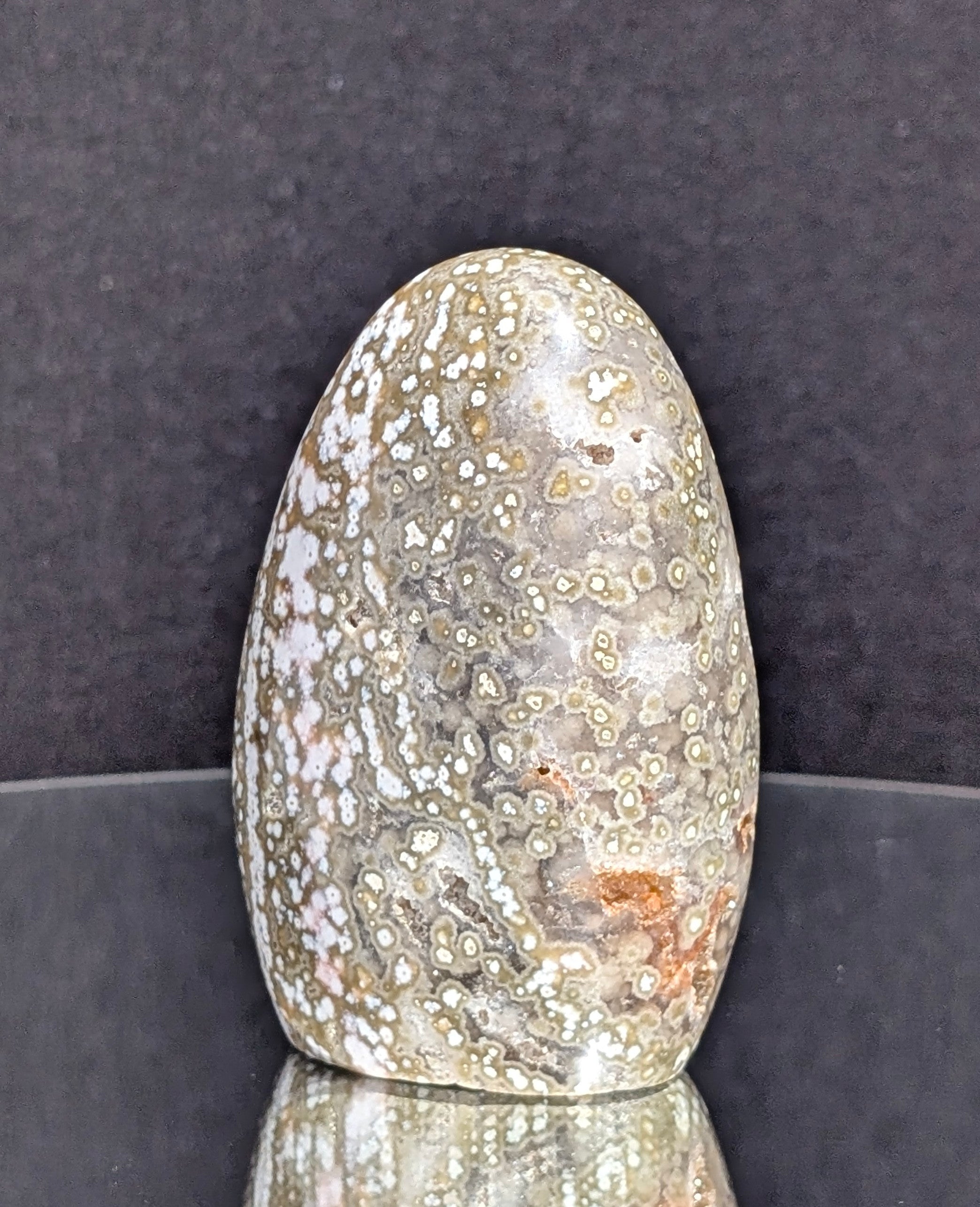 Ocean Jasper B