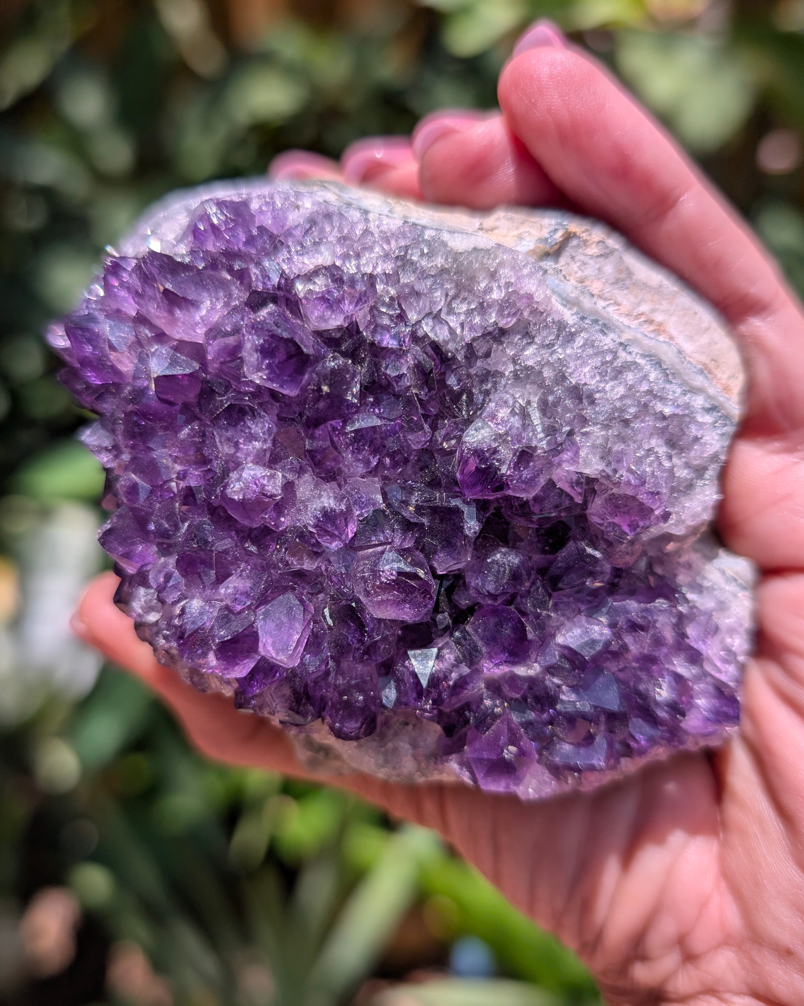 Amethyst Druzy Cluster F