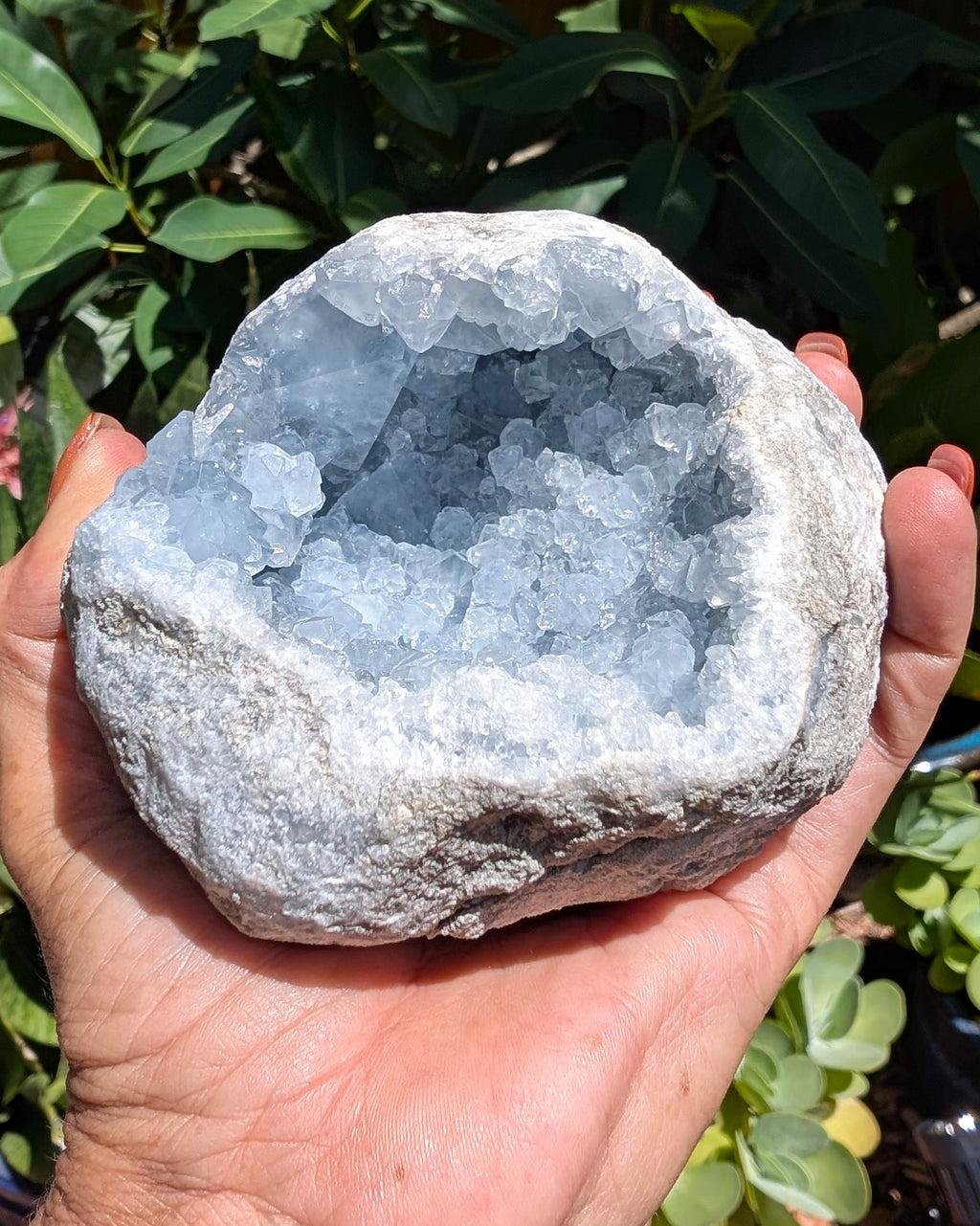Heavenly Blue Celestite Geode - Opt. I
