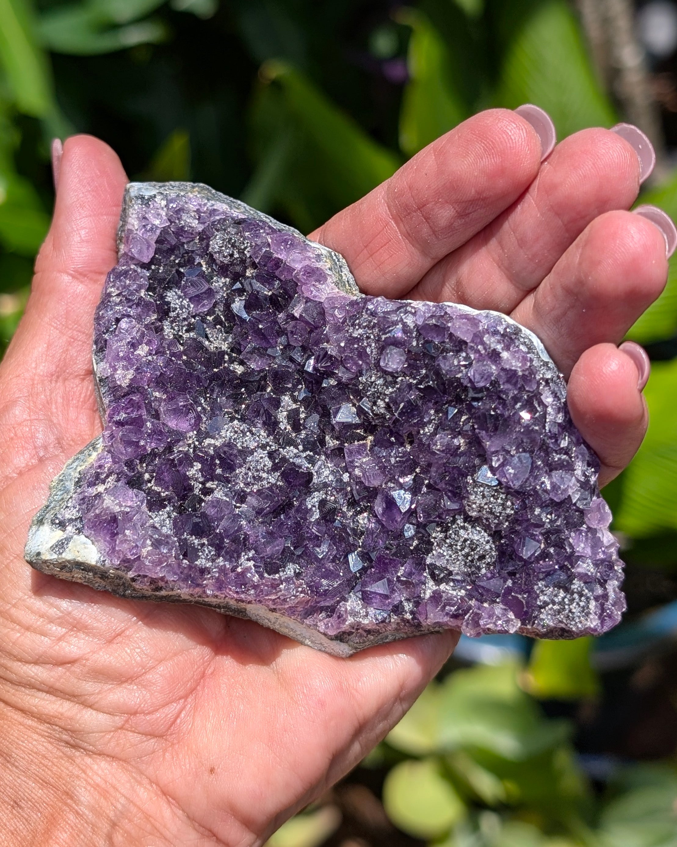 Amethyst Druzy Cluster G