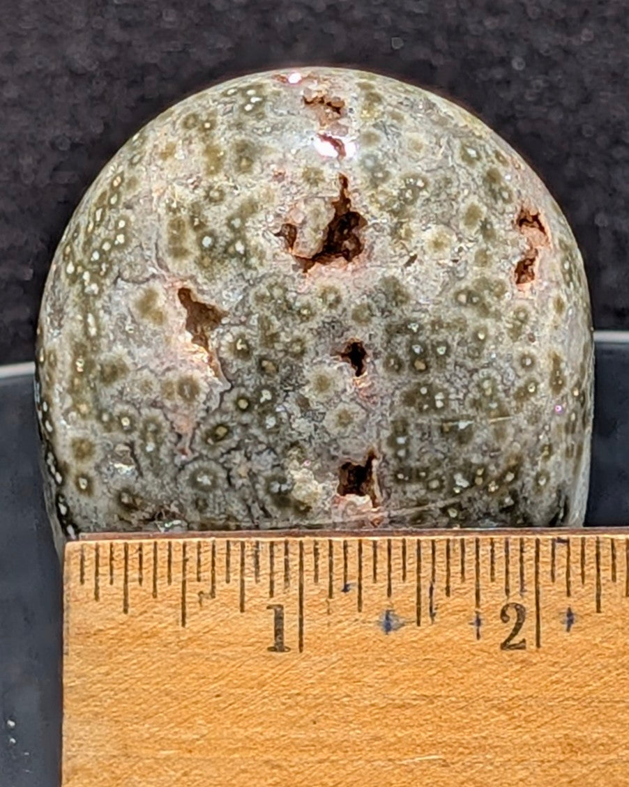 Ocean Jasper C
