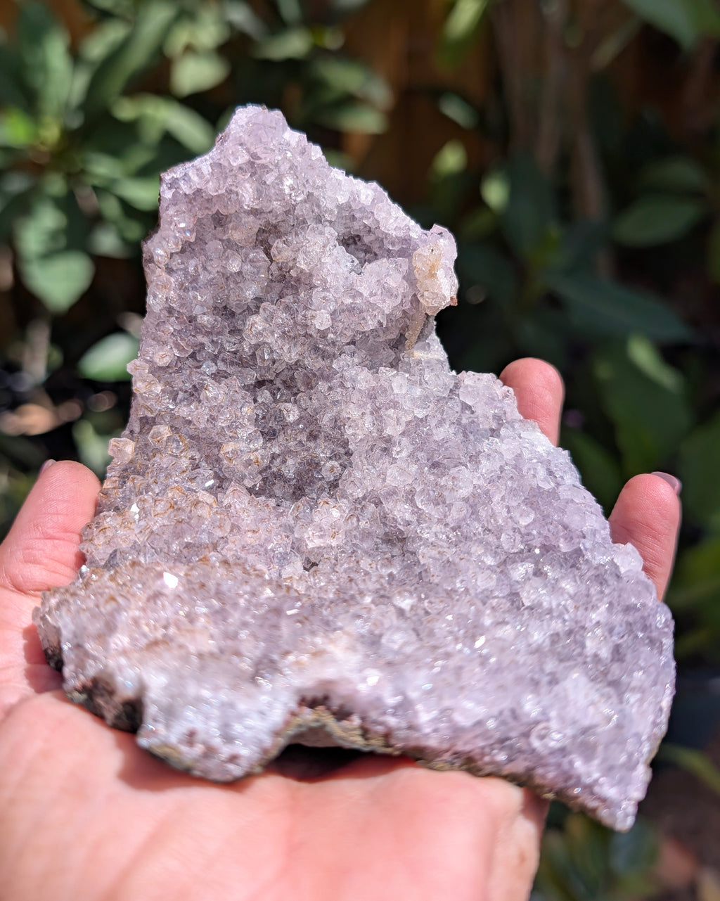Amethyst Druzy Tarazout Cluster B