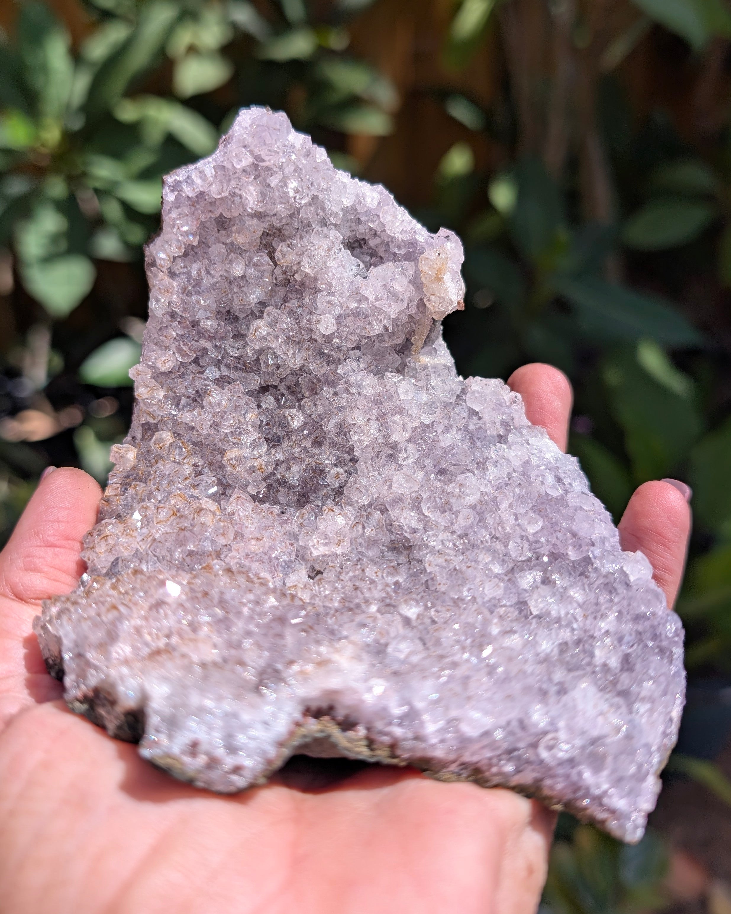 Amethyst Druzy Tarazout Cluster B