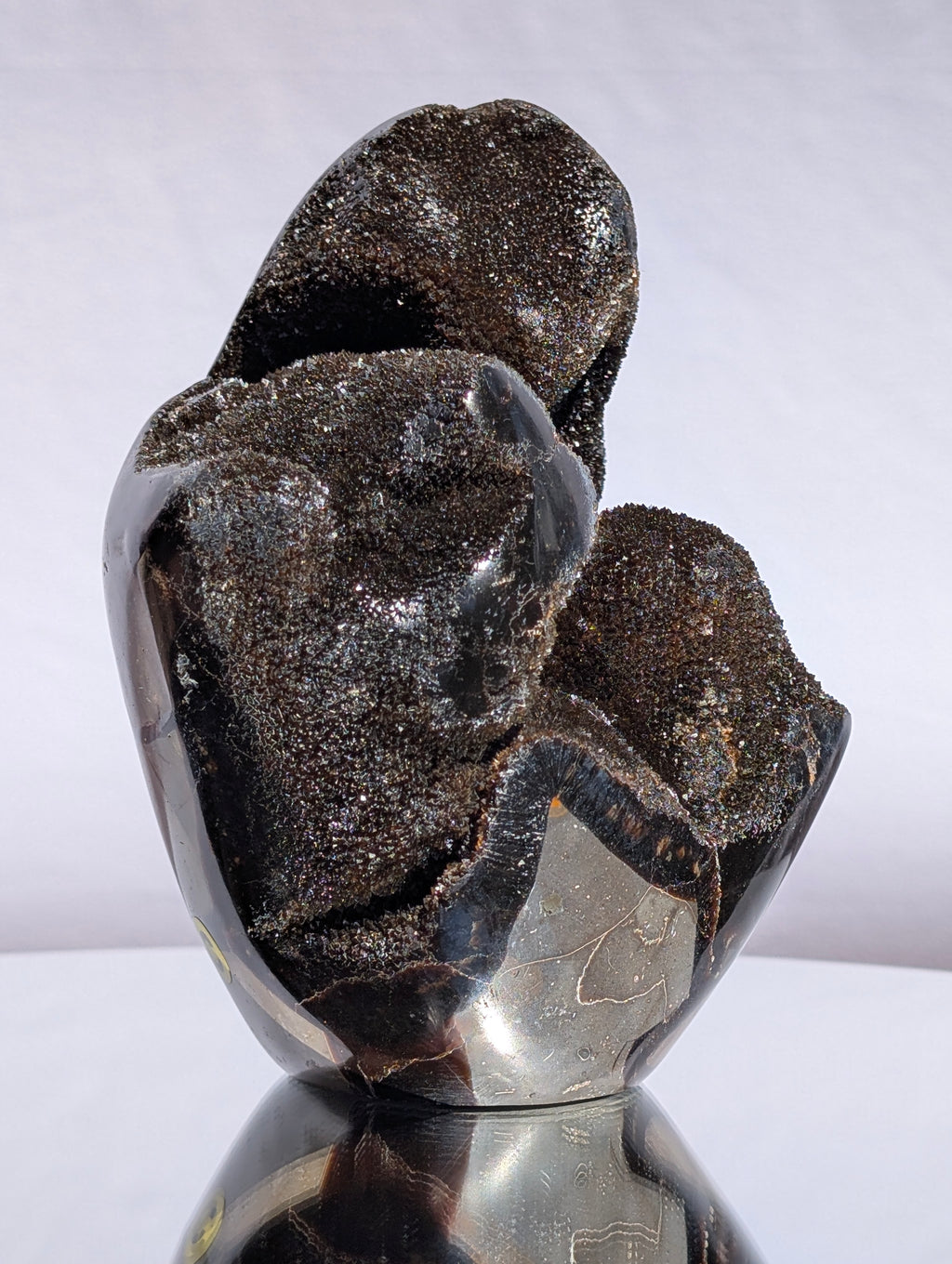 Septarian Dragon Egg C