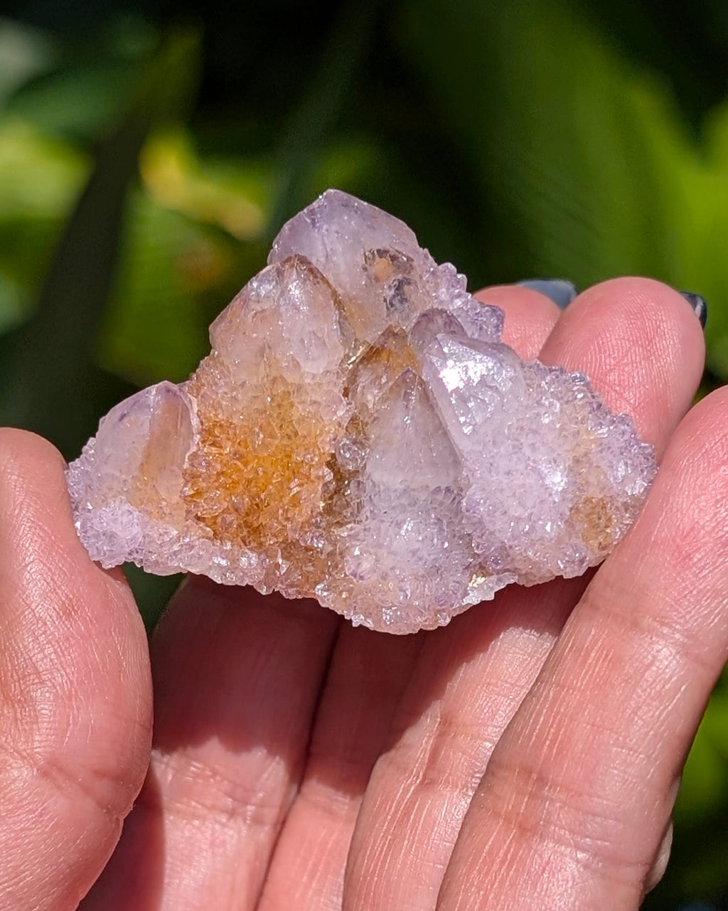 Petit Spirit Quartz - Opt. B