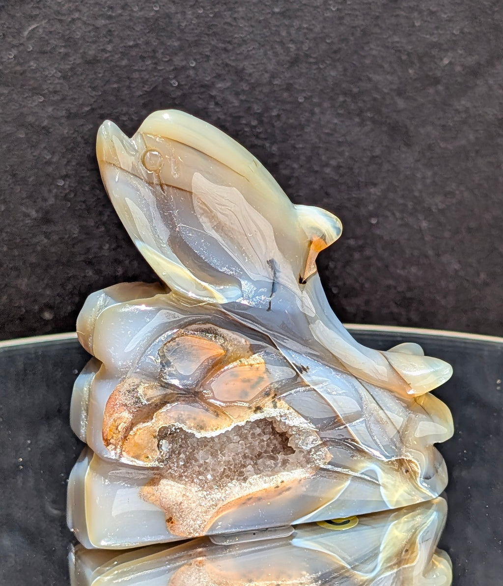 Agate Druzy Dolphin C