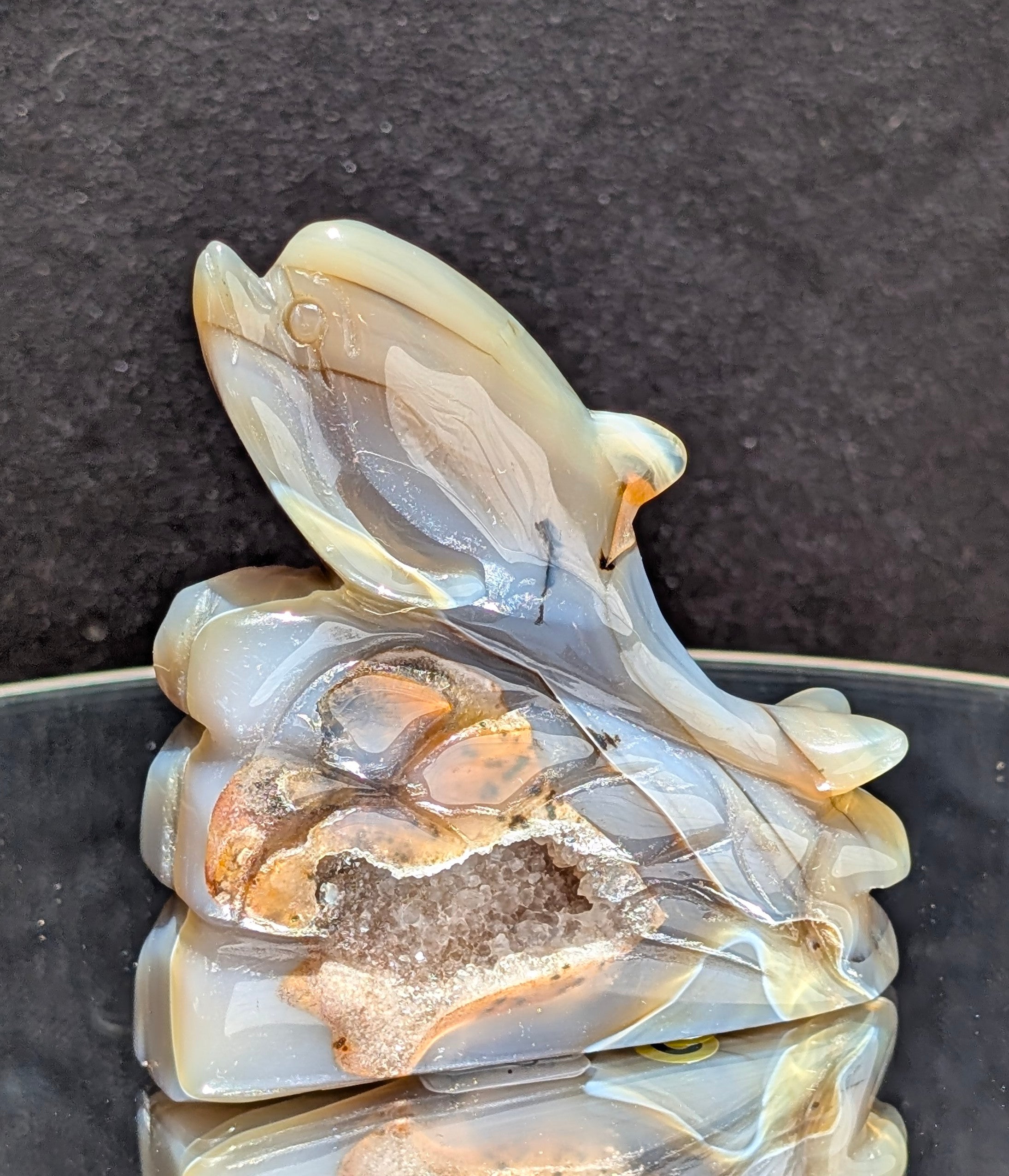 Agate Druzy Dolphin C