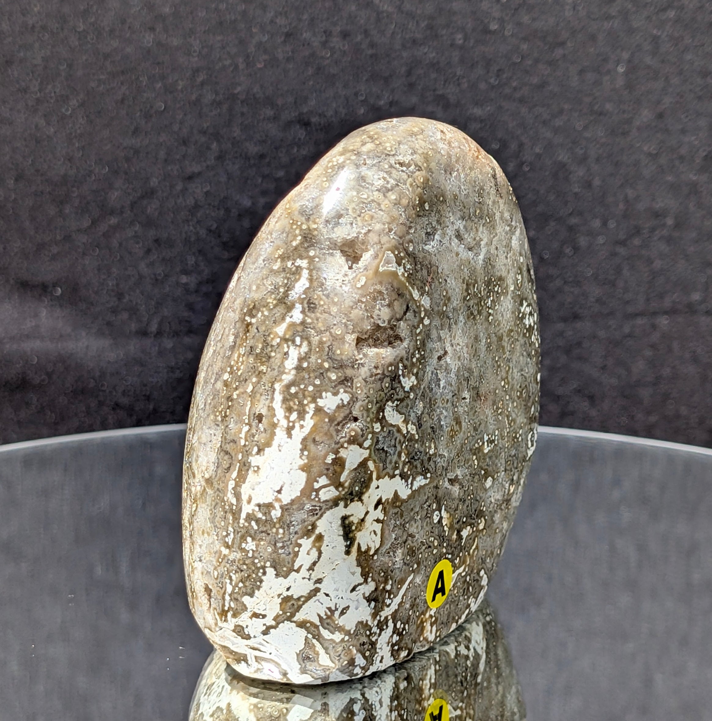 Ocean Jasper A