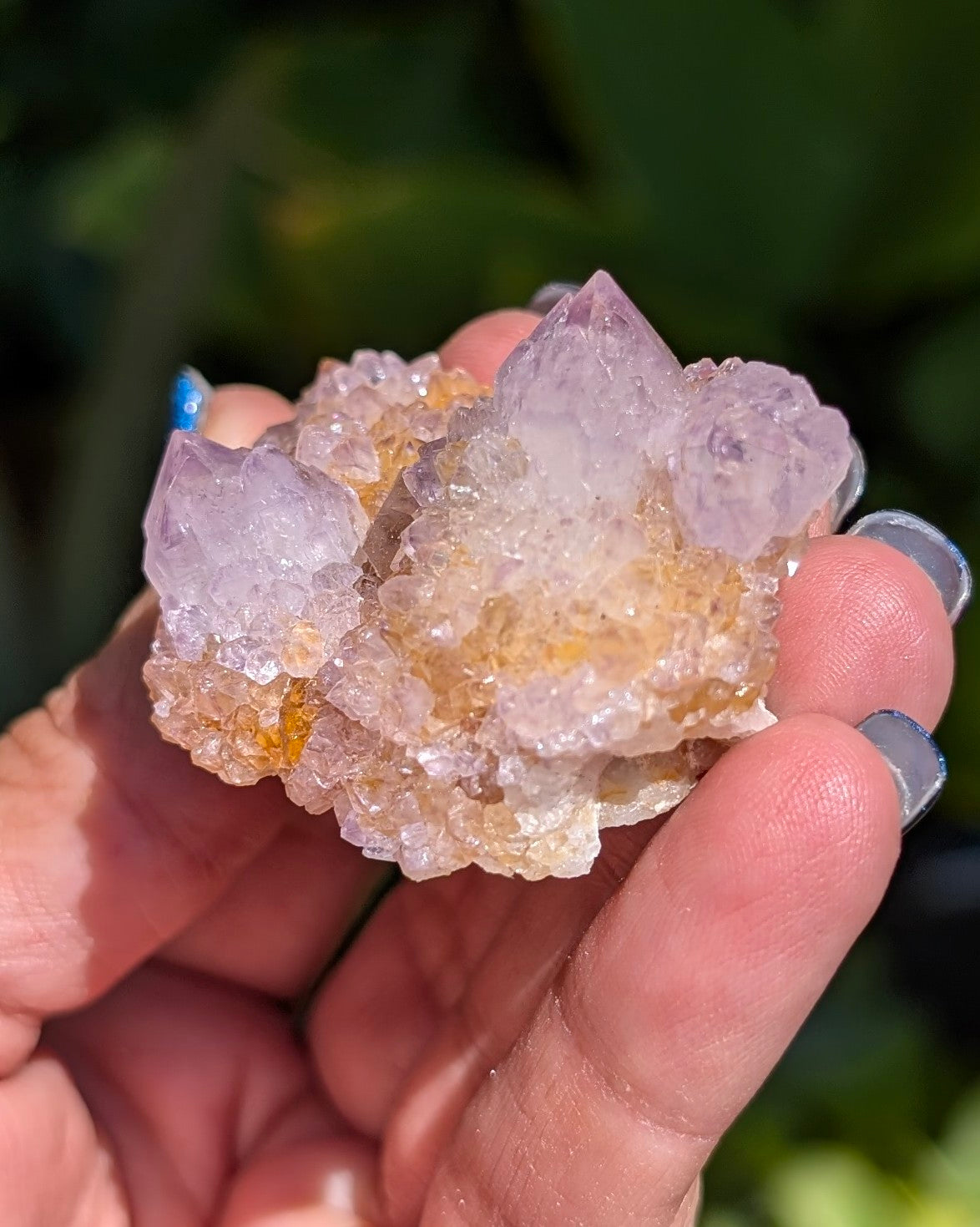 Petite Spirit Quartz - Opt. A