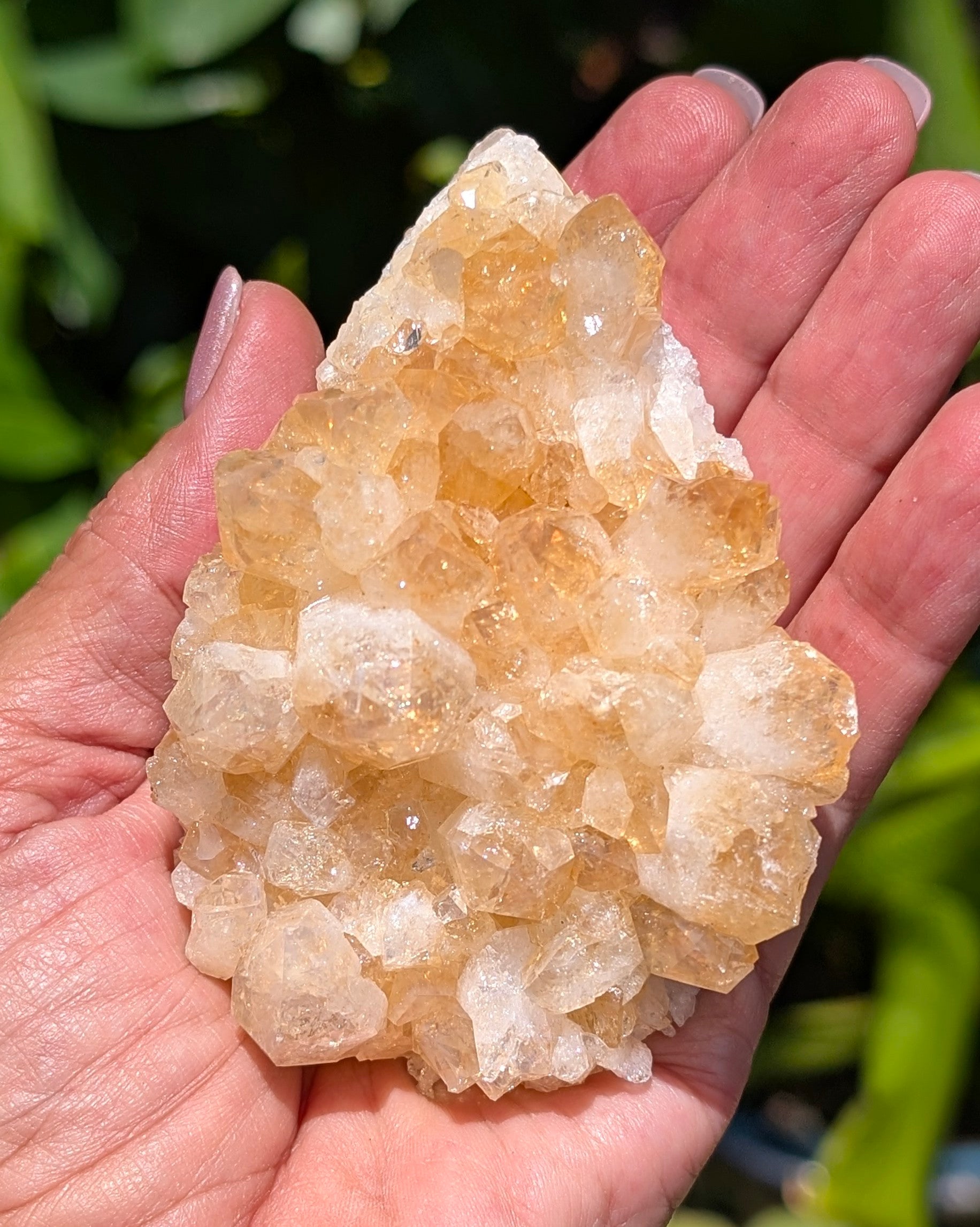 Citrine Cluster C
