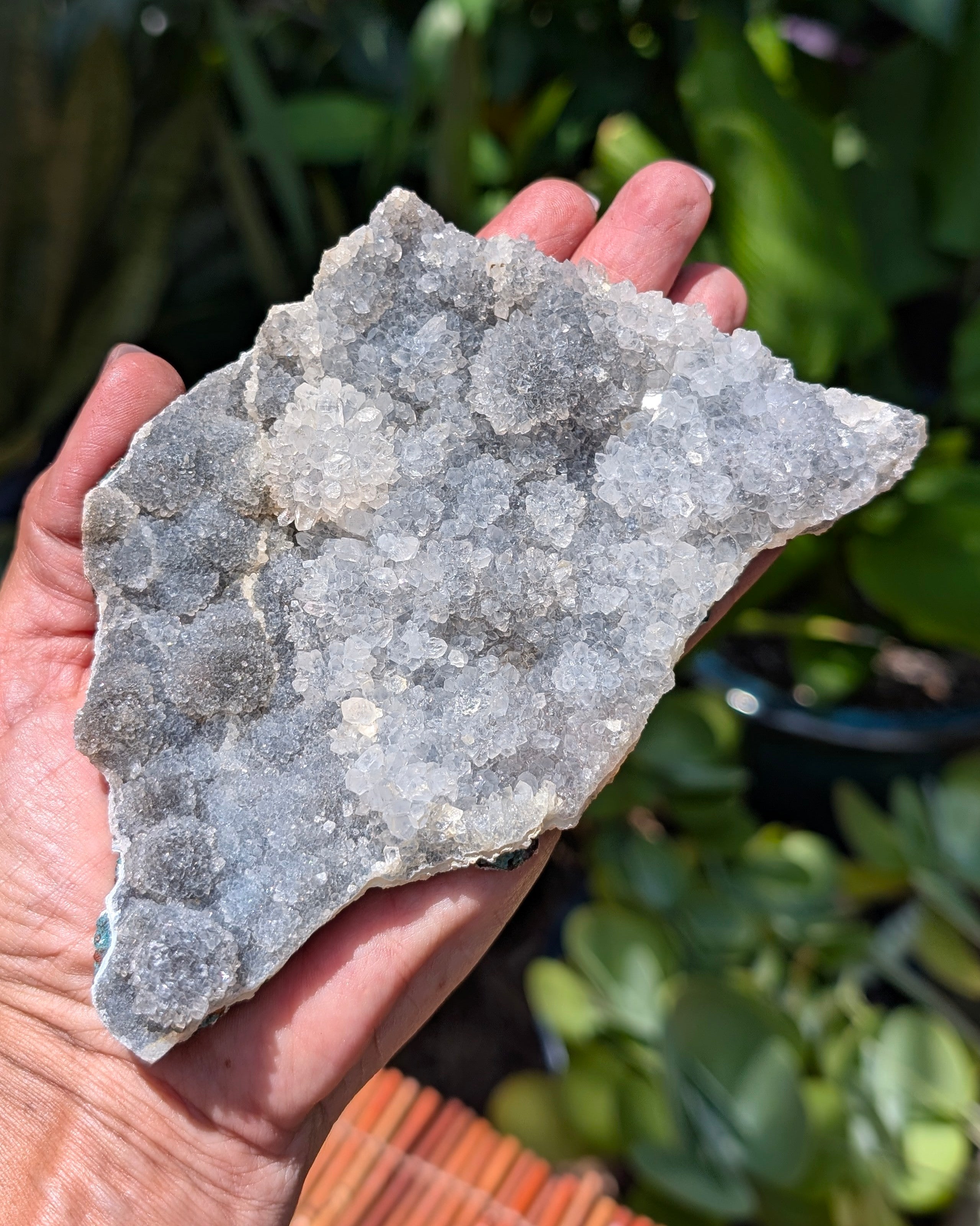 Amethyst Druzy Cluster C