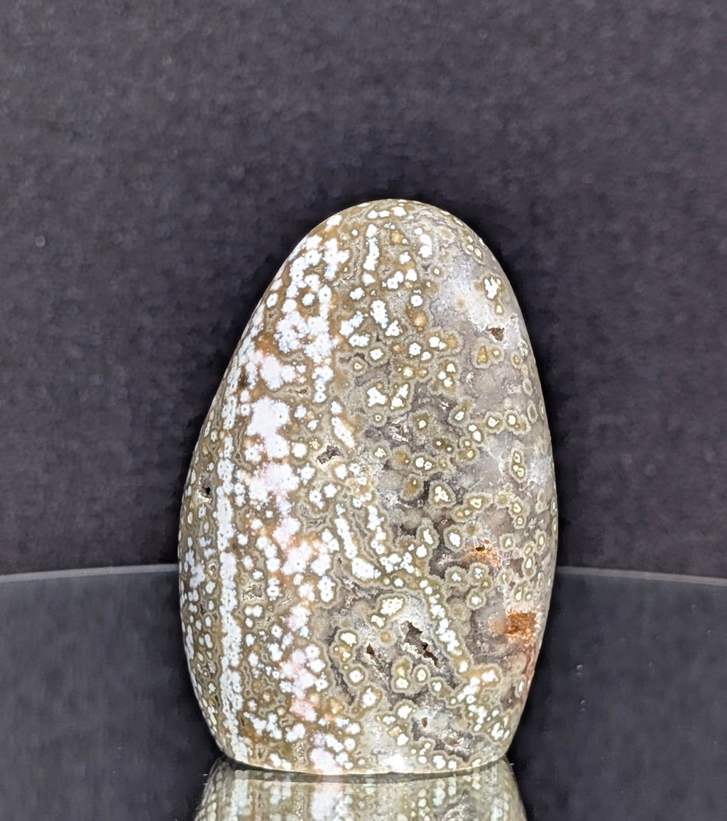 Ocean Jasper B