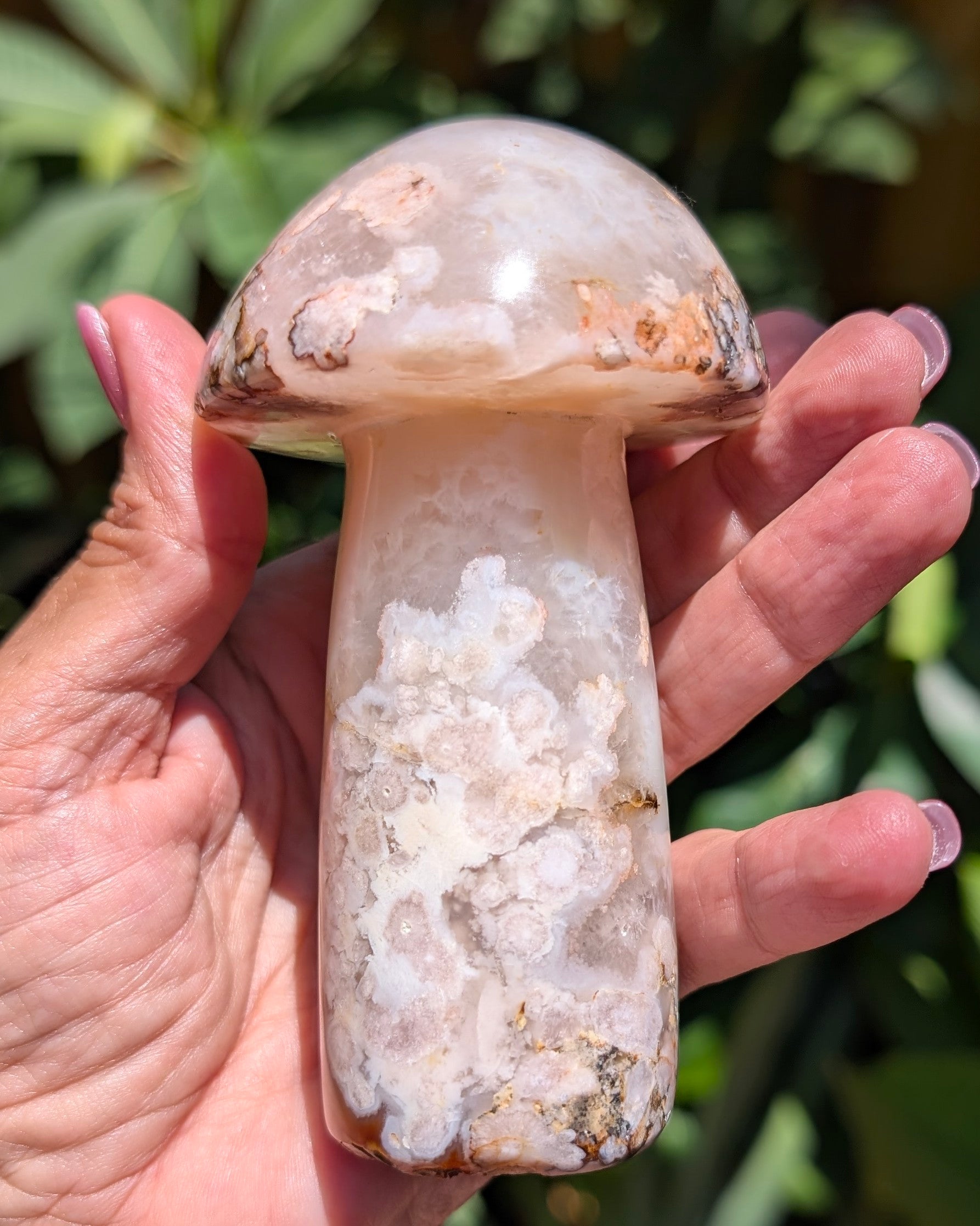 Flower Agate Mushroom F