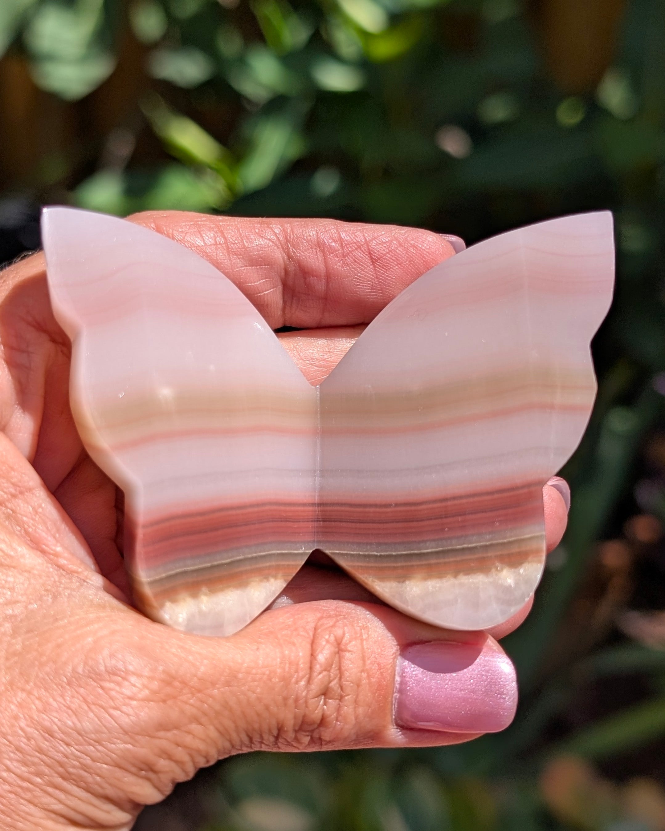 Banded Calcite Butterfly Y