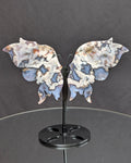 Blue Flower Agate Butterfly Z