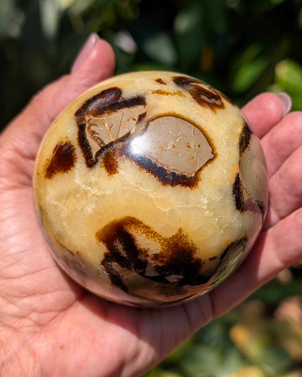 Septarian Dragon Stone Sphere A