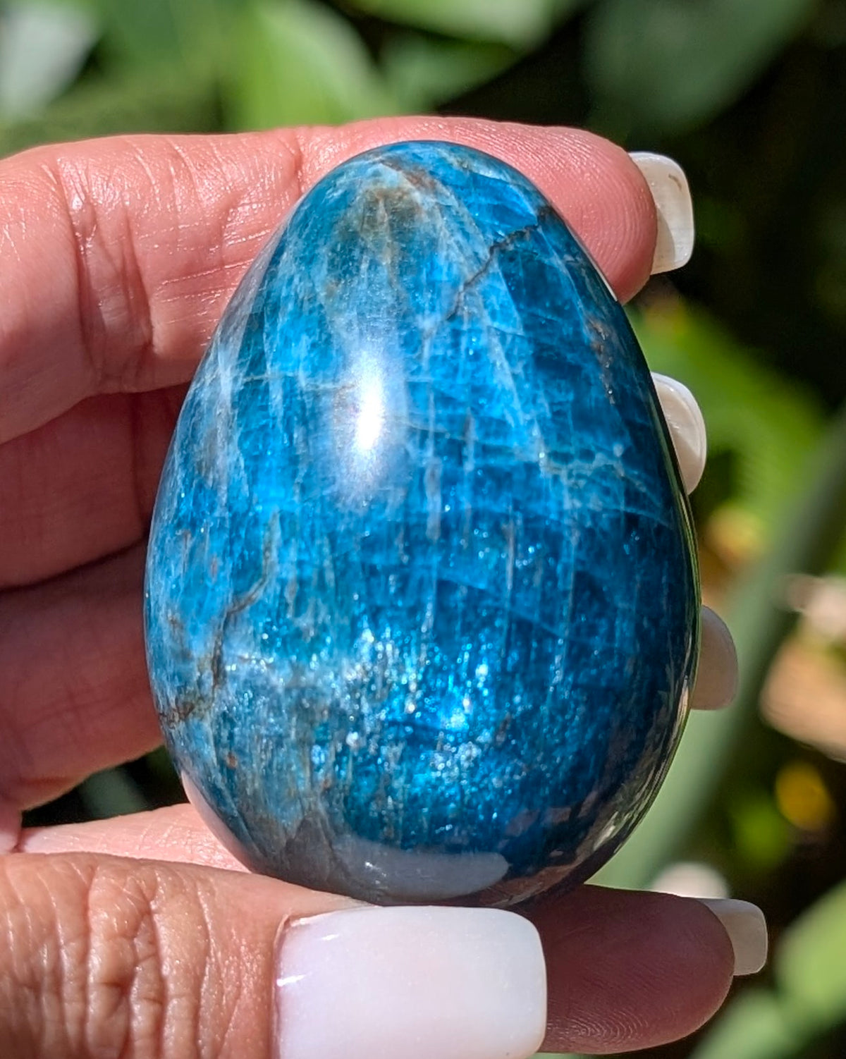 Apatite Egg - Opt. I