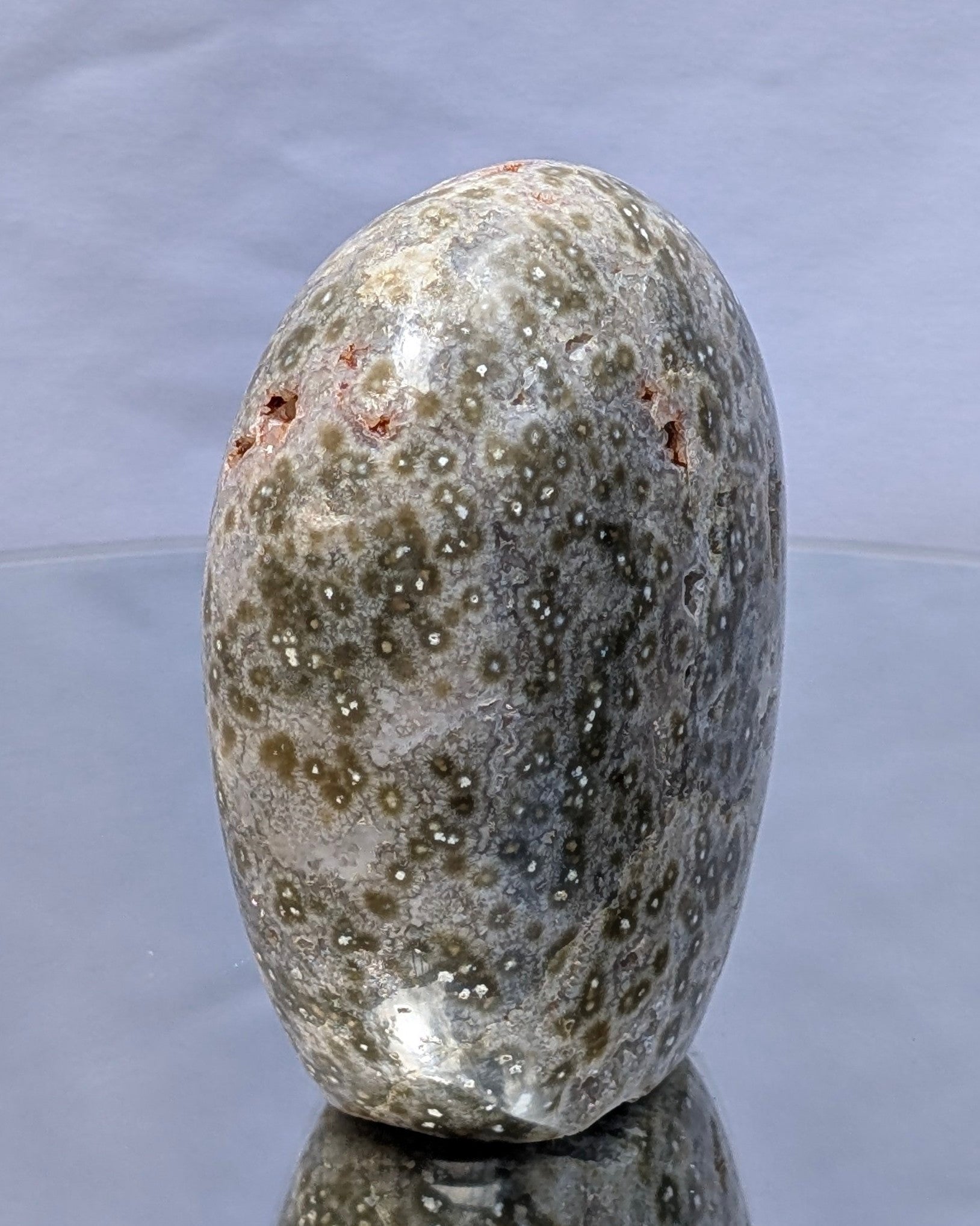 Ocean Jasper C